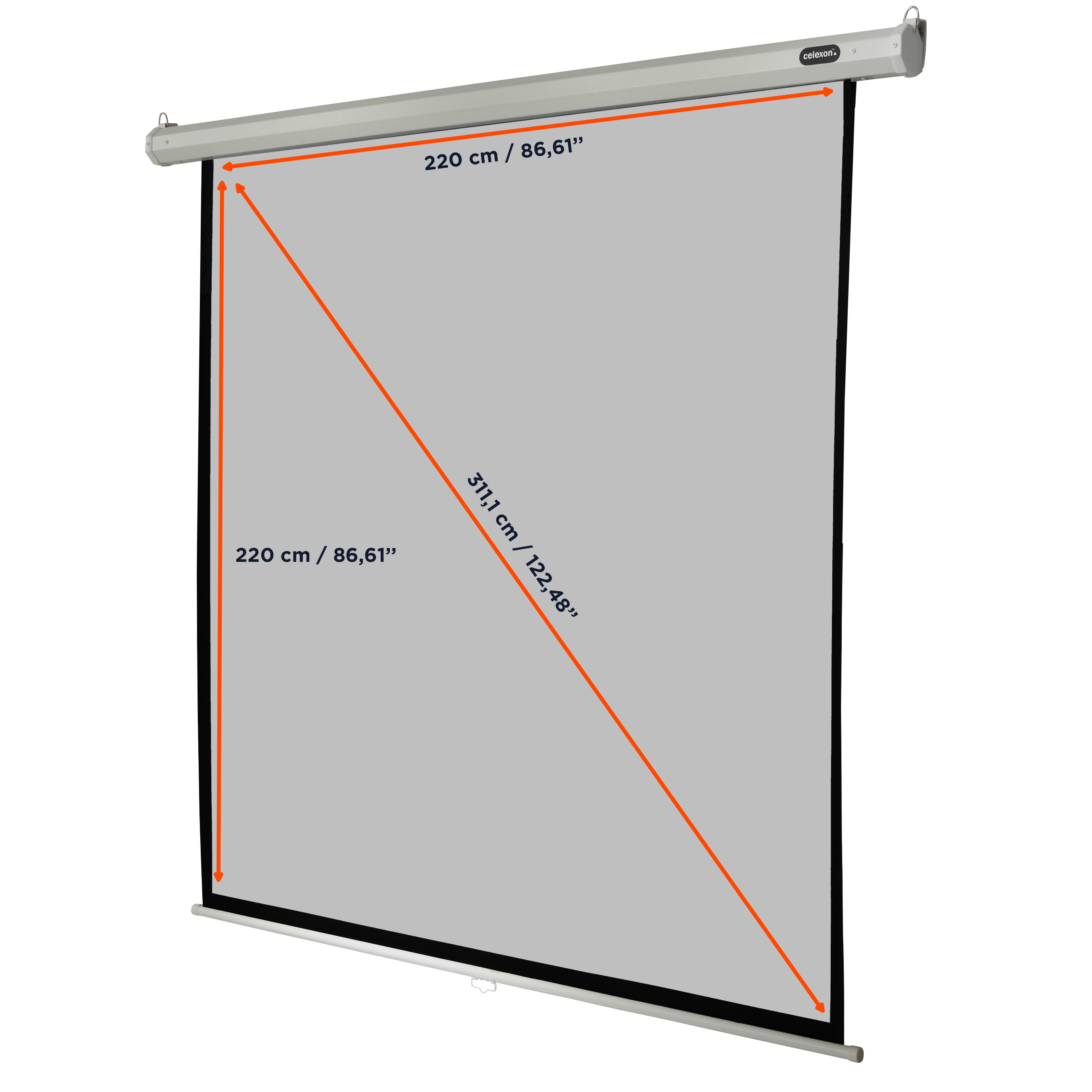 celexon Leinwand Rollo Economy 220 x 220 cm