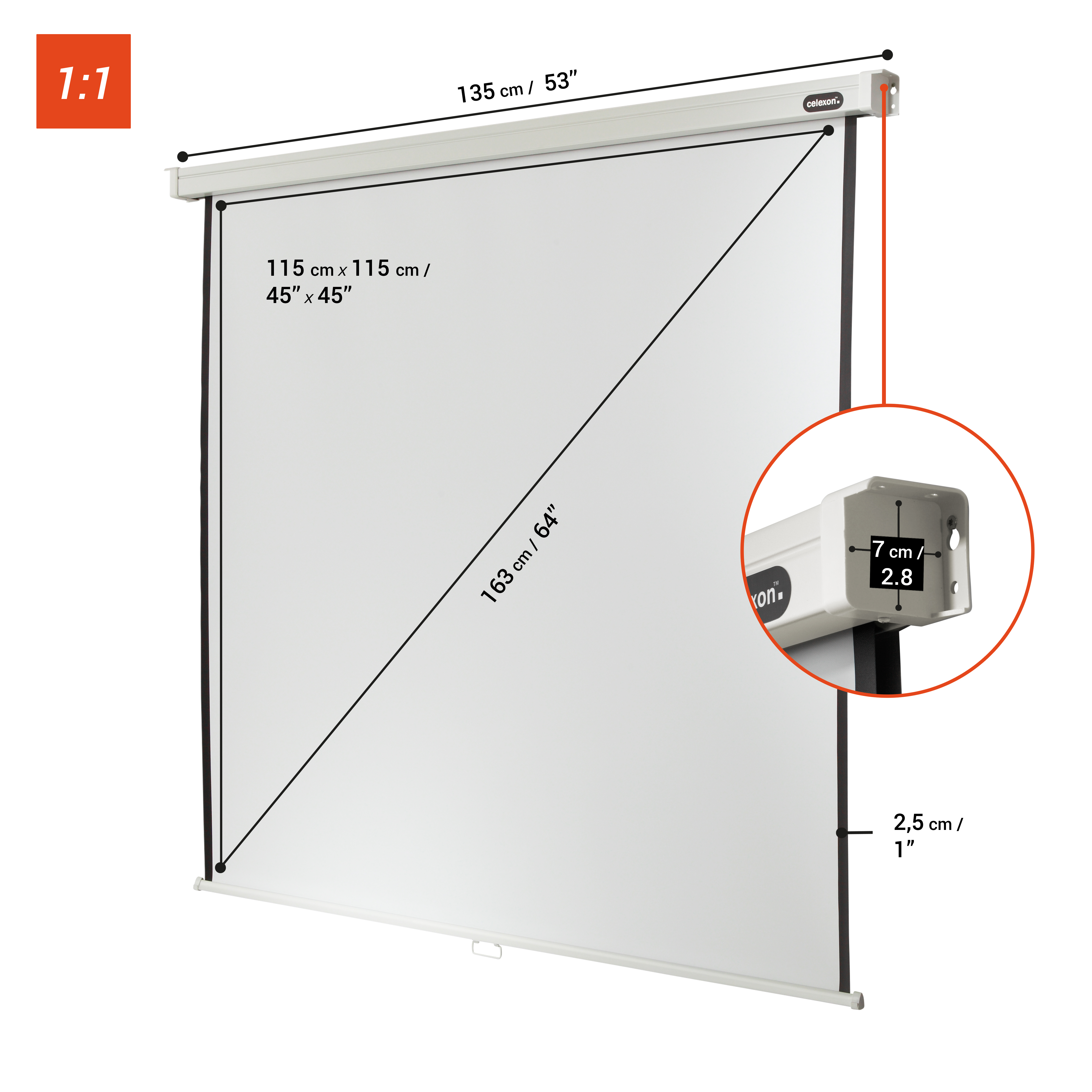 celexon Leinwand Rollo Professional 120 x 120 cm