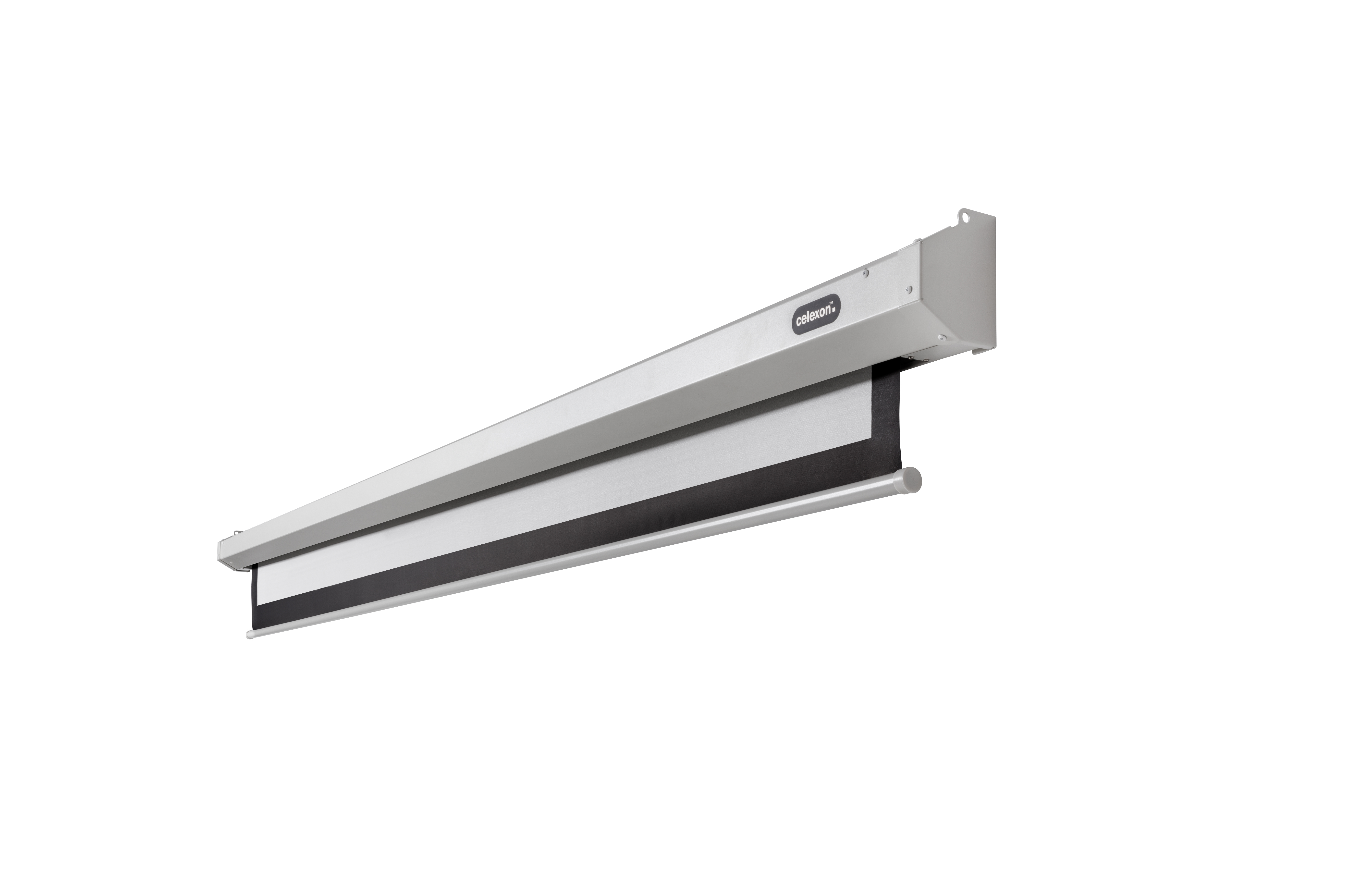celexon Leinwand Motor Economy 240 x 240 cm