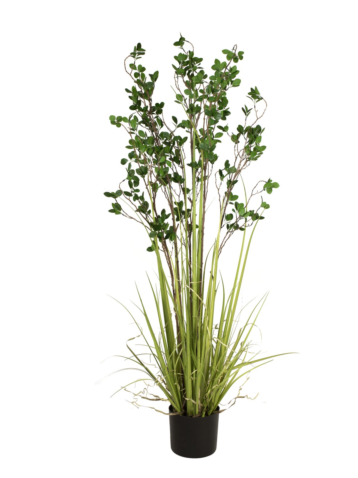 EUROPALMS Immergrünstrauch mit Gras, Kunstpflanze, 152 cm