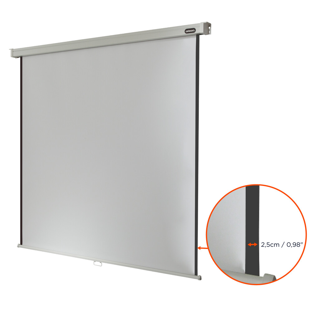 celexon Leinwand Rollo Professional 120 x 120 cm