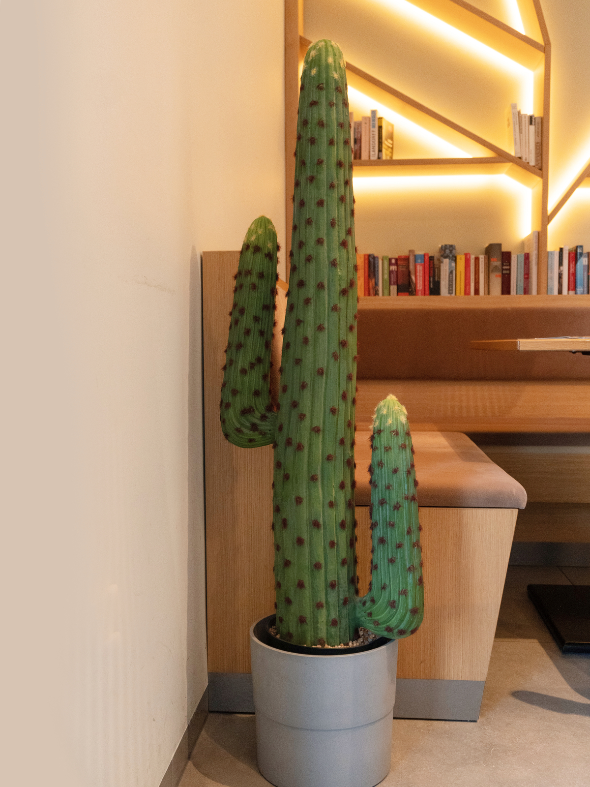 EUROPALMS Mexikanischer Kaktus, Kunstpflanze, grün, 117cm EUROPALMS Mexikanischer Kaktus, Kunstpflanze, grün, 117cm