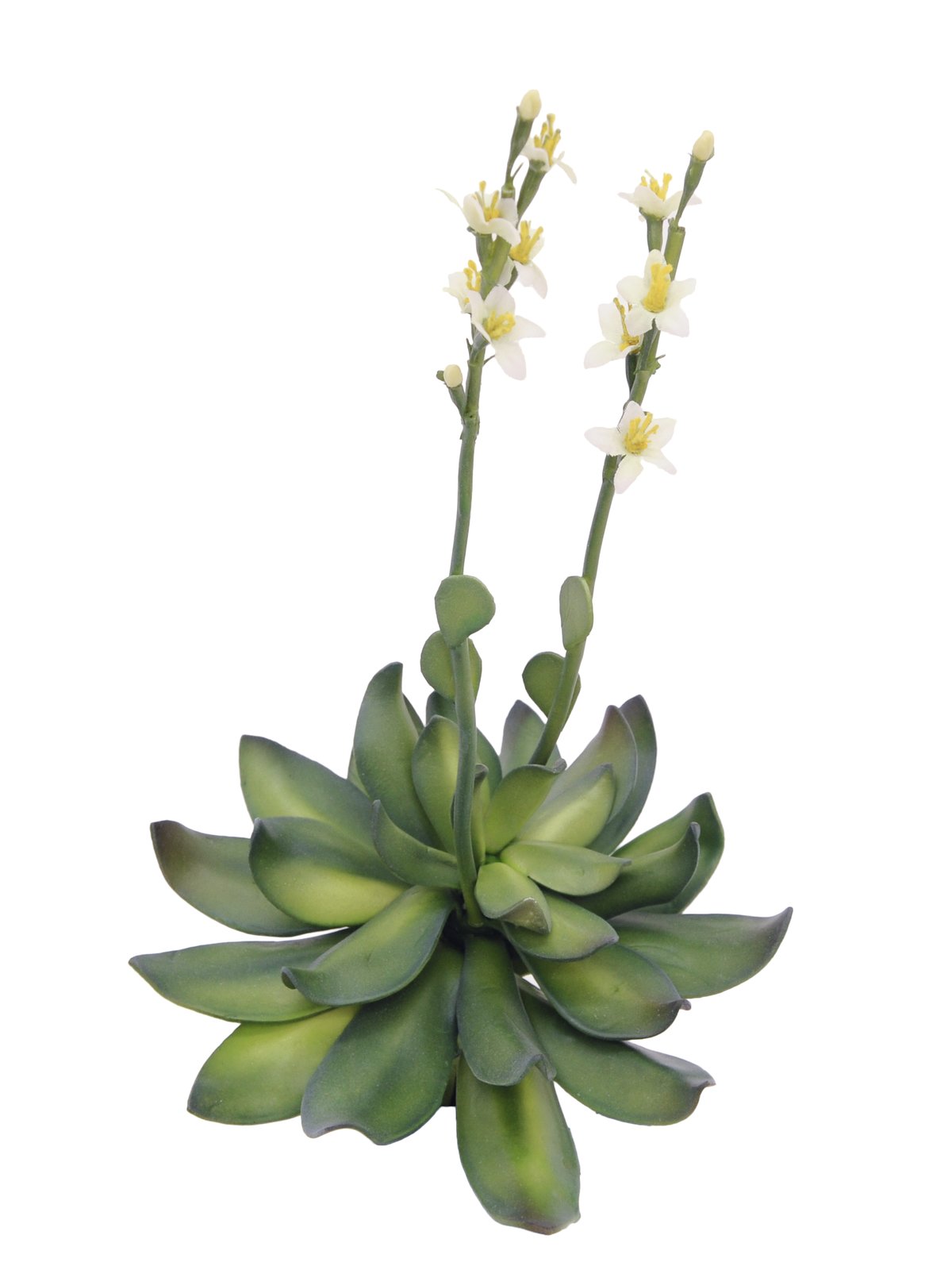 EUROPALMS Steinrose (EVA), Kunstpflanze, gelb, 32cm EUROPALMS Steinrose (EVA), Kunstpflanze, gelb, 32cm