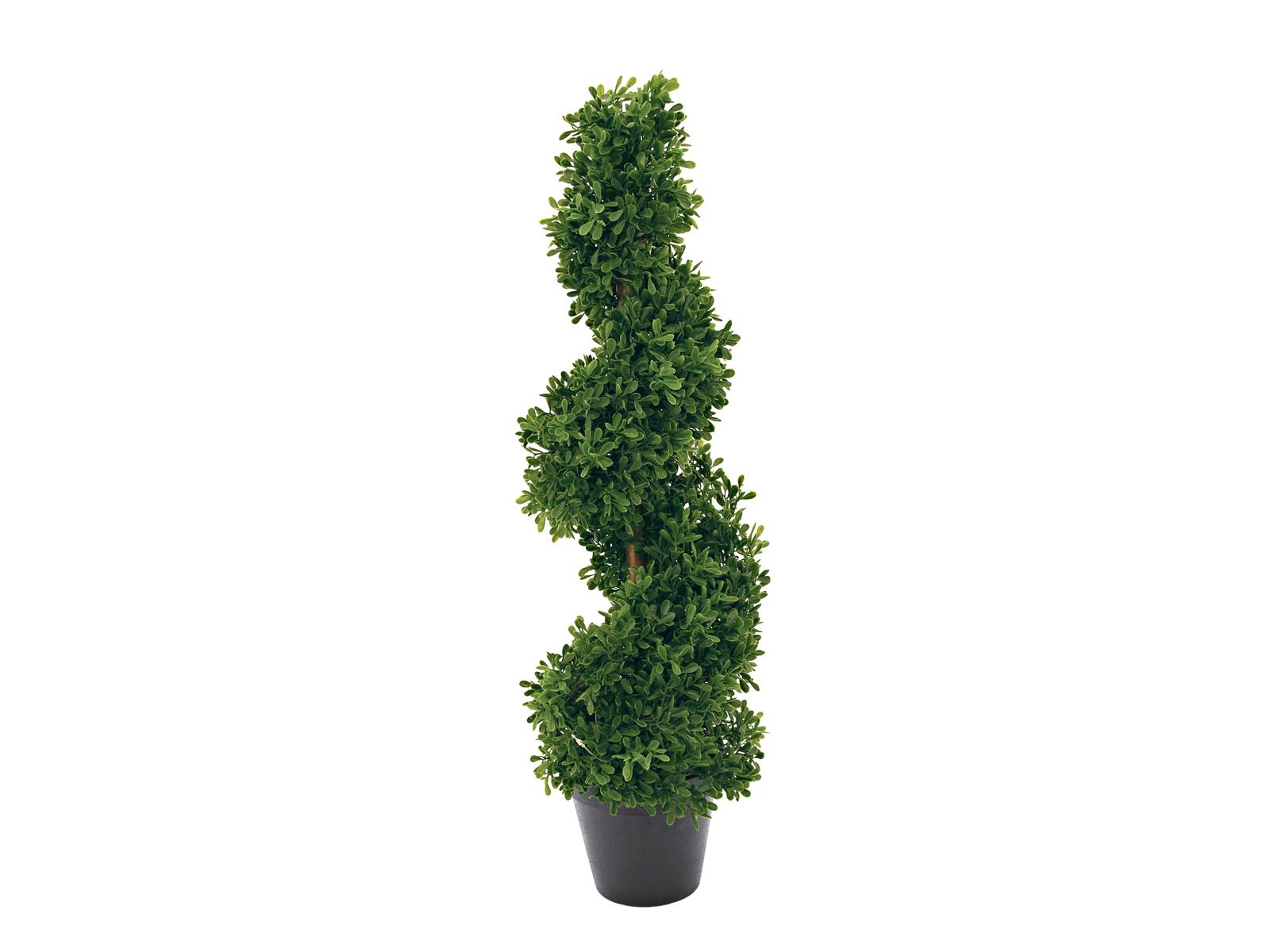EUROPALMS Spiralbaum, Kunstpflanze, 61cm EUROPALMS Spiralbaum, Kunstpflanze, 61cm