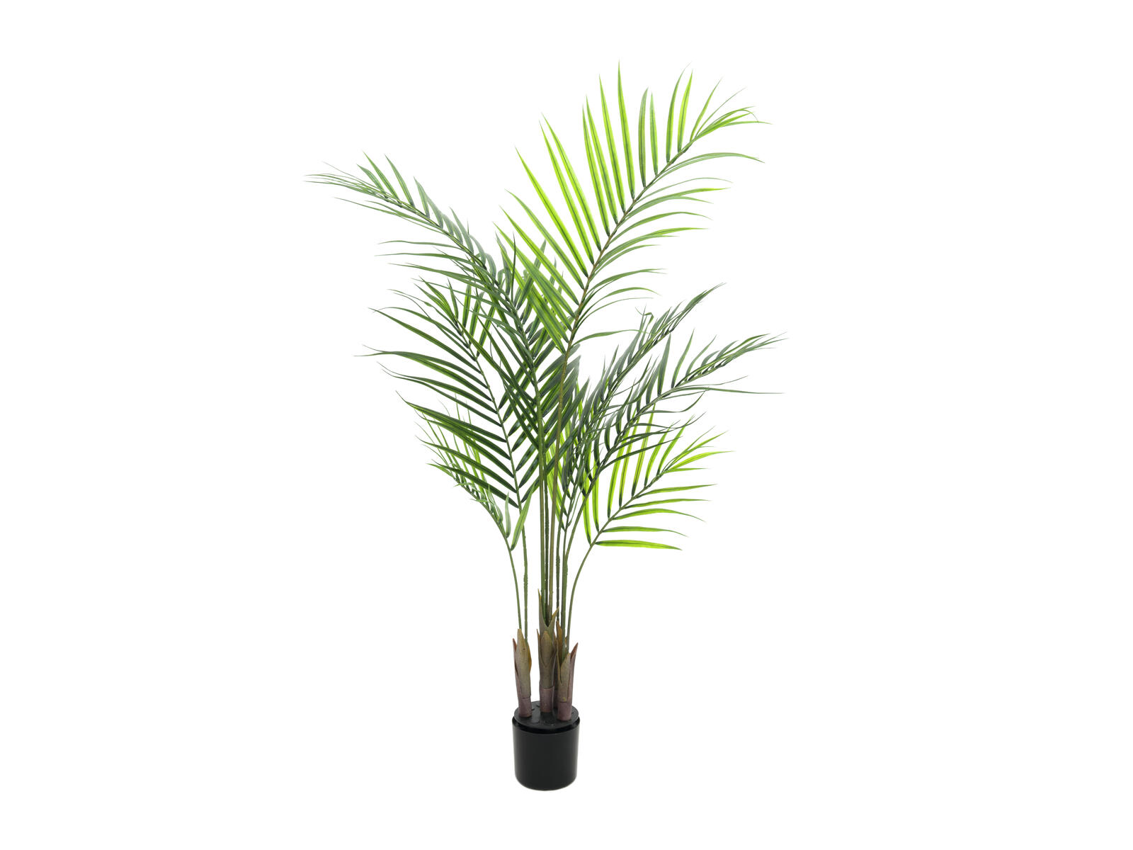 EUROPALMS Großblatt-Areca, Kunstpflanze, 125cm EUROPALMS Großblatt-Areca, Kunstpflanze, 125cm