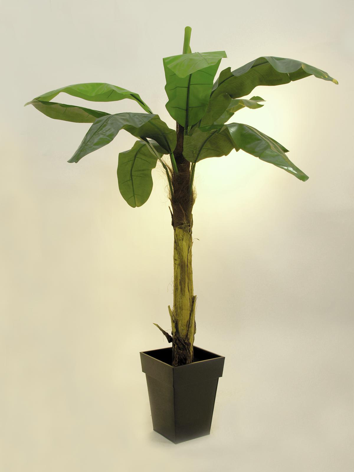 EUROPALMS Bananenbaum, Kunstpflanze, 210cm