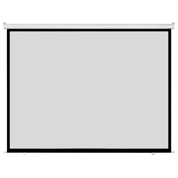 DMT Proscreen Manual Manuelle Projektionsleinwand für die Decken-/Wandbefestigung - 120" - 16:9