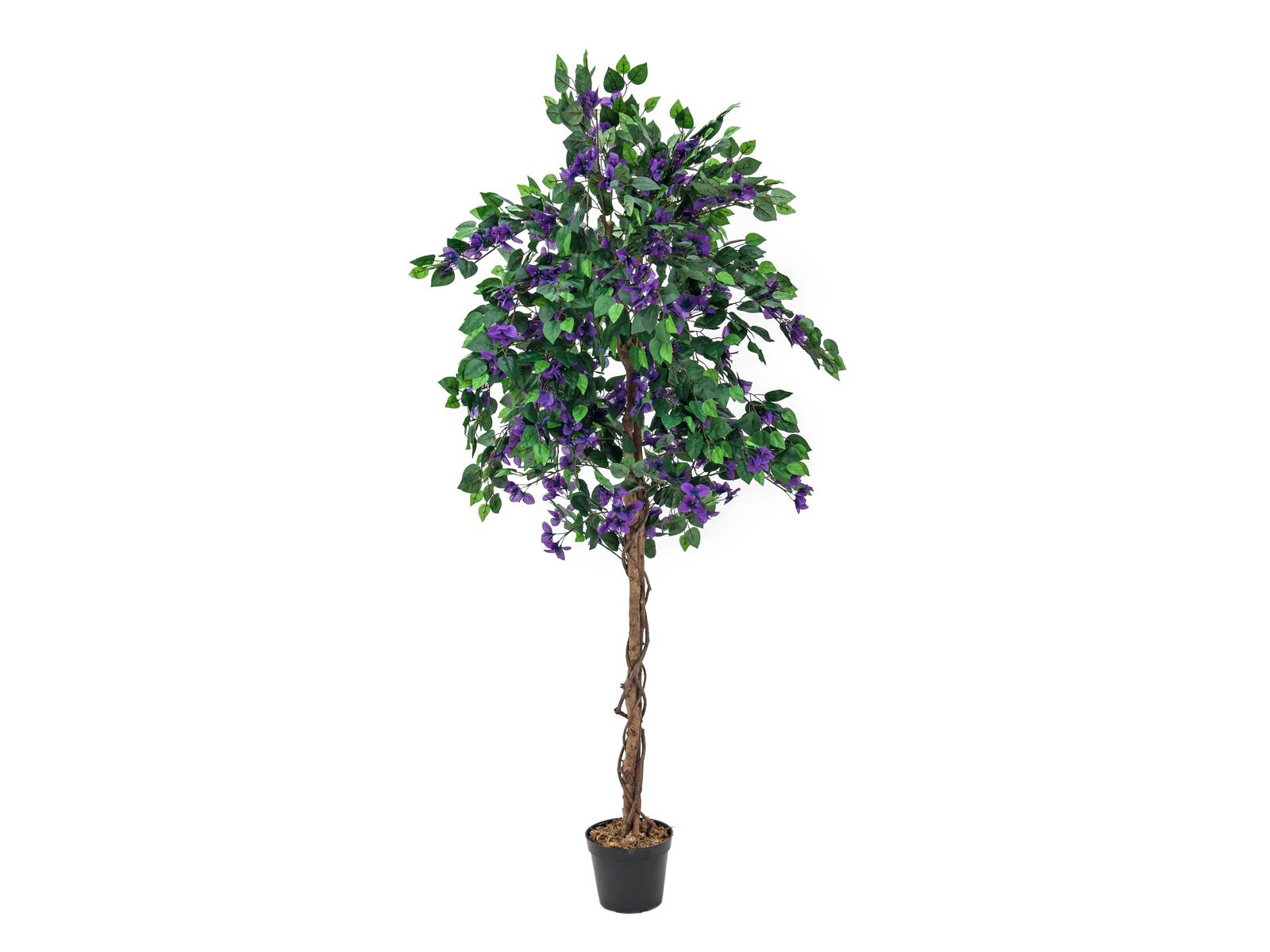 EUROPALMS Bougainvillea, lavendel, Kunstpflanze, 180cm EUROPALMS Bougainvillea, lavendel, Kunstpflanze, 180cm