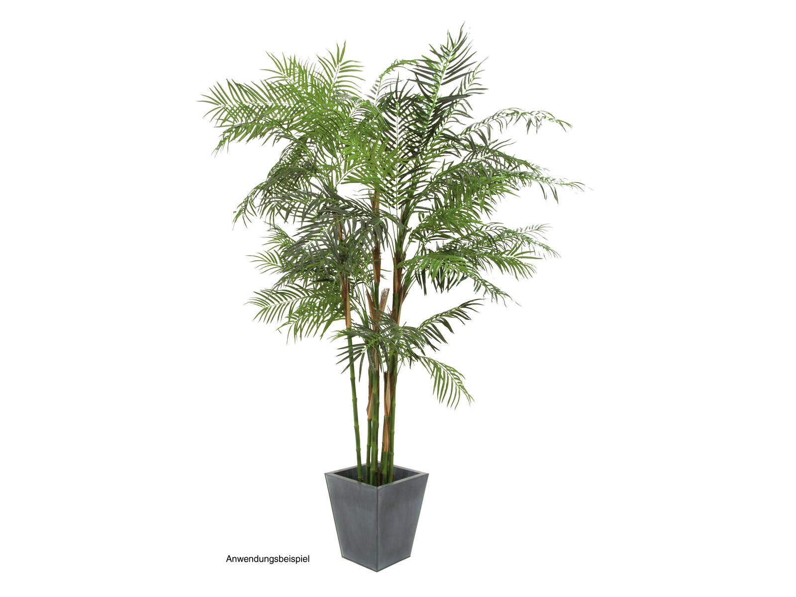 EUROPALMS Cycasrohr Palme, Kunstpflanze, 280cm EUROPALMS Cycasrohr Palme, Kunstpflanze, 280cm