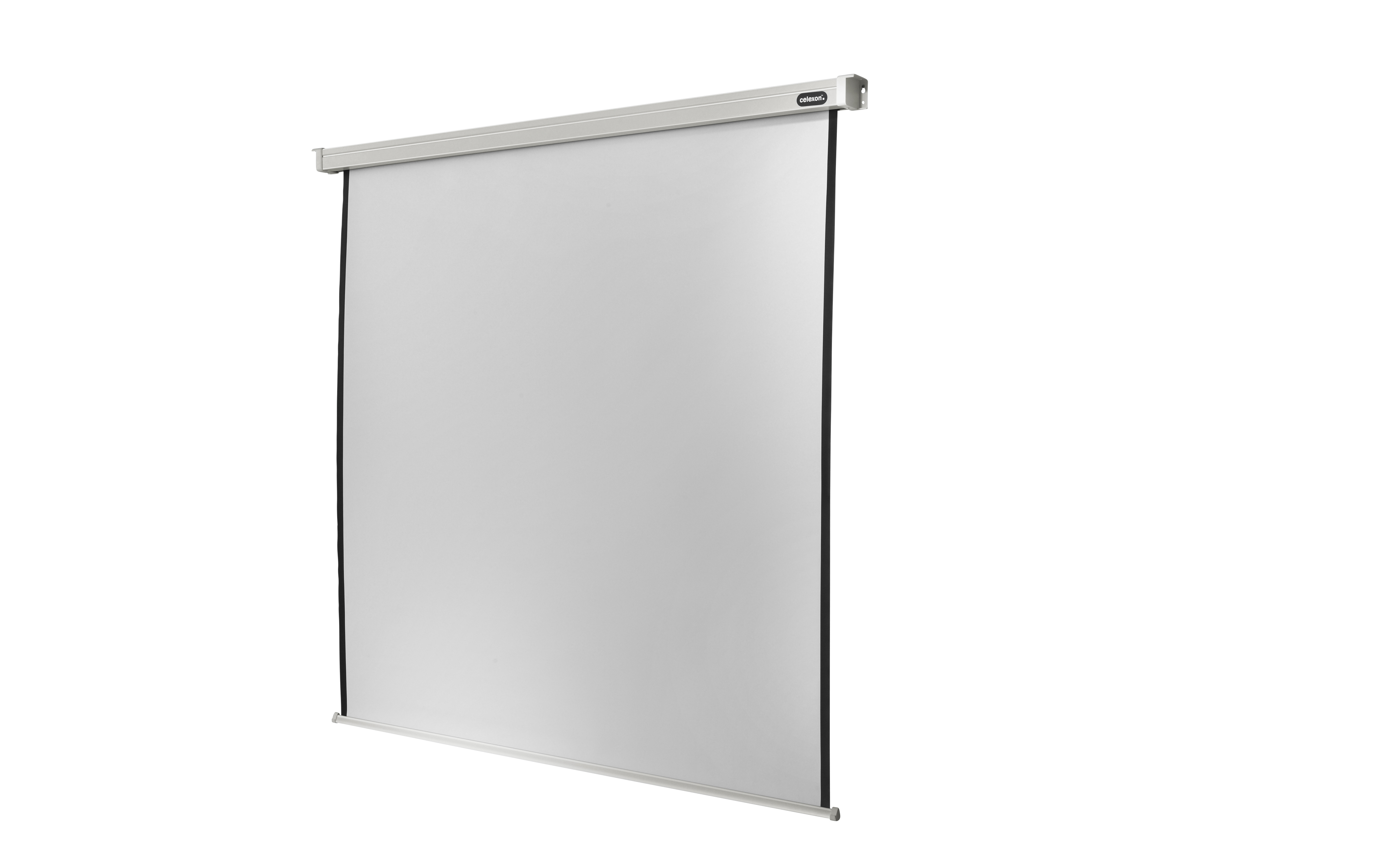 celexon Leinwand Motor Professional 300 x 300 cm