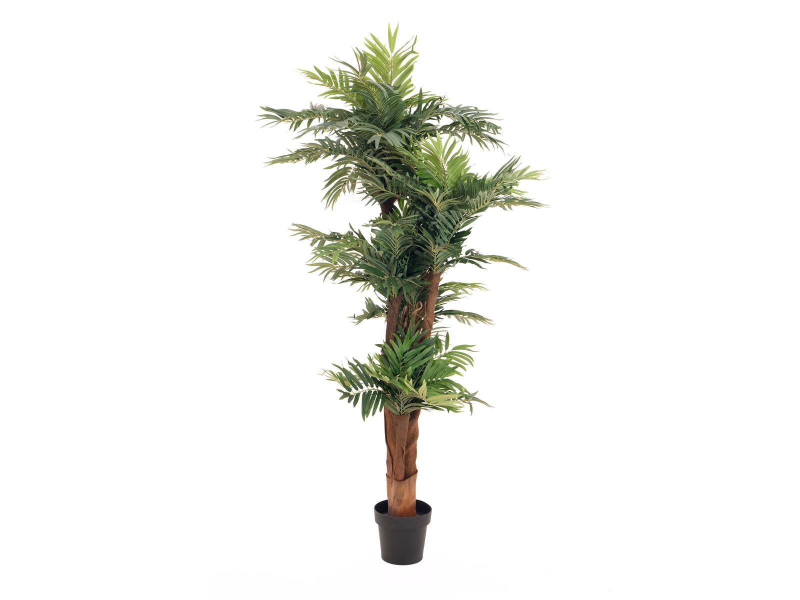 EUROPALMS Areca Palme, Kunstpflanze, 170cm EUROPALMS Areca Palme, Kunstpflanze, 170cm