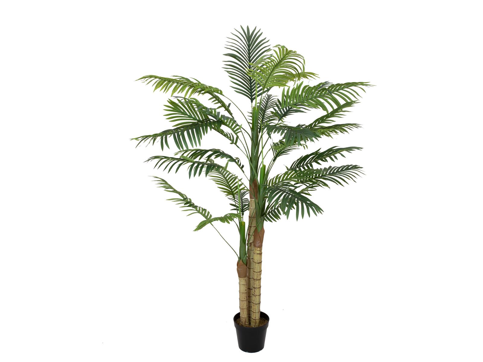 EUROPALMS Areca Palme, 3-stämmig, Kunstpflanze, 150cm EUROPALMS Areca Palme, 3-stämmig, Kunstpflanze, 150cm