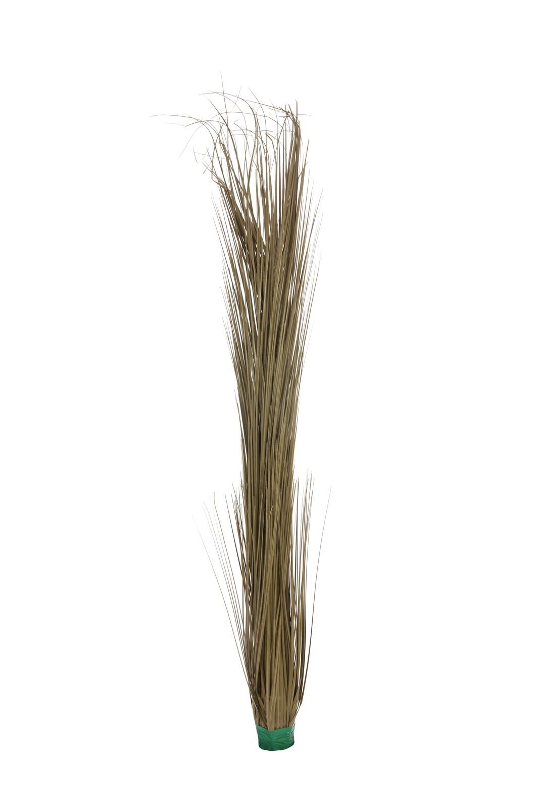 EUROPALMS Schilfgras, künstlich, khaki, 127cm EUROPALMS Schilfgras, künstlich, khaki, 127cm