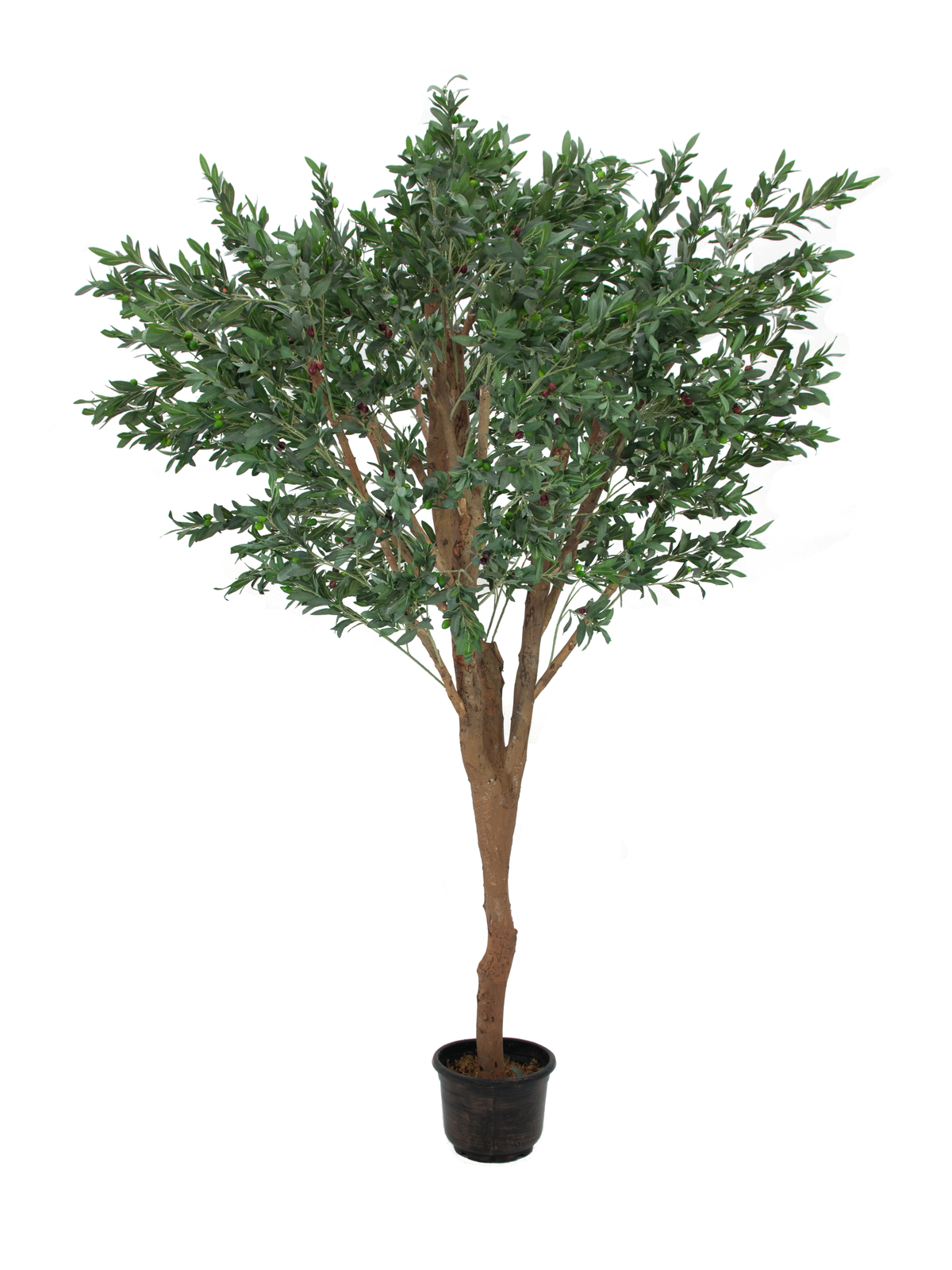 EUROPALMS Riesen-Olivenbaum, Kunstpflanze, 250cm