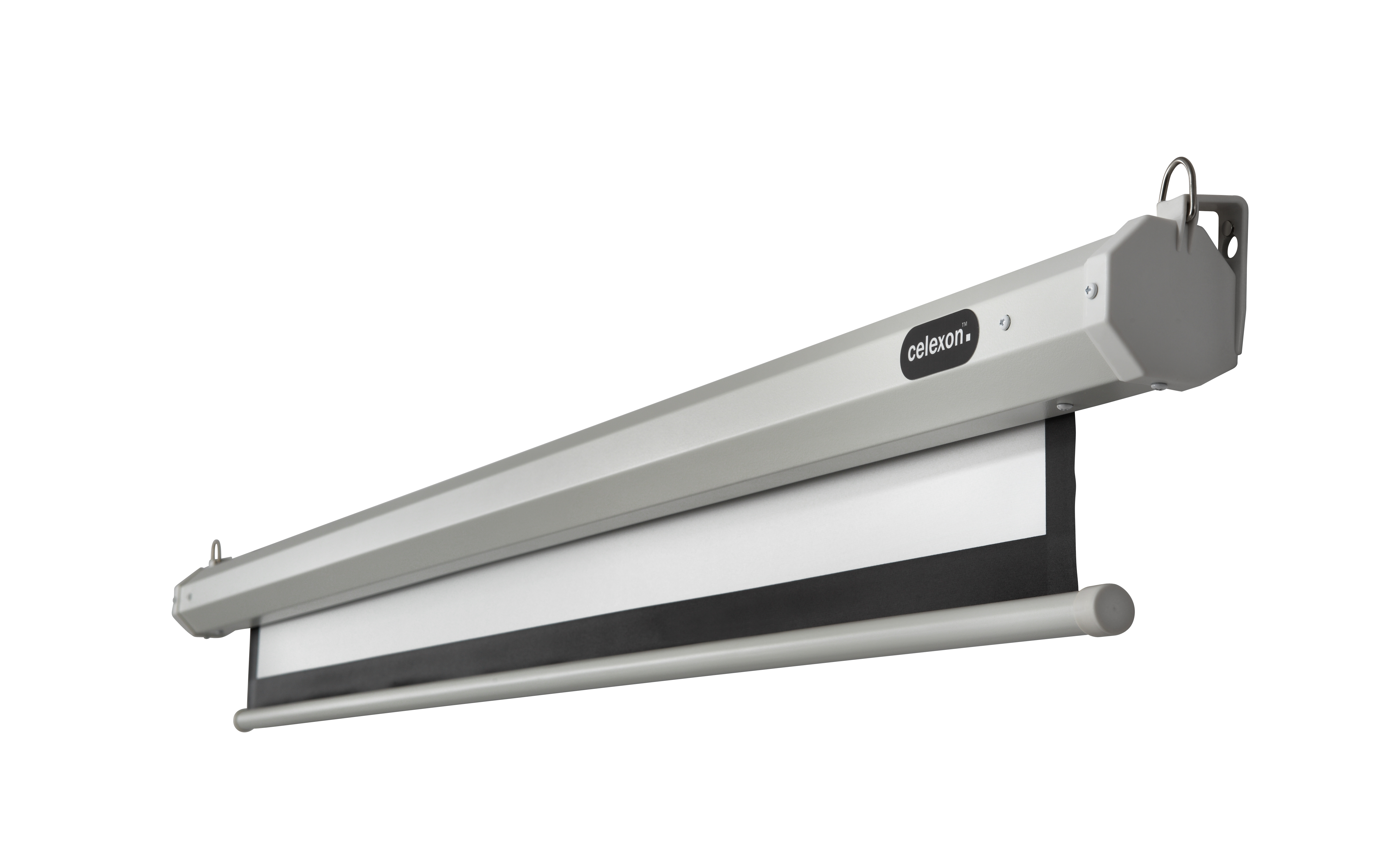 celexon Leinwand Motor Economy 180 x 102 cm