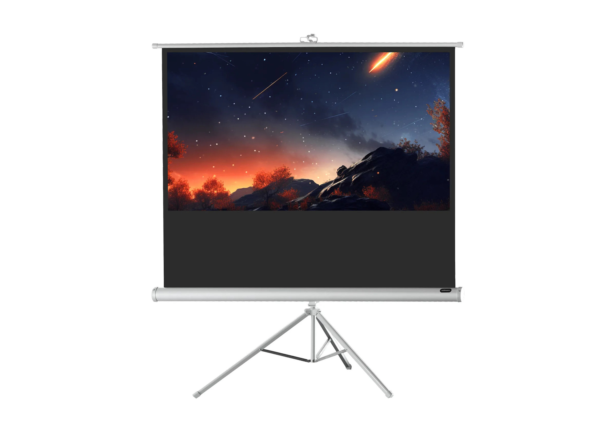 celexon Stativleinwand Economy 219 x 123 cm - White Edition celexon Stativleinwand Economy 219 x 123 cm - White Edition