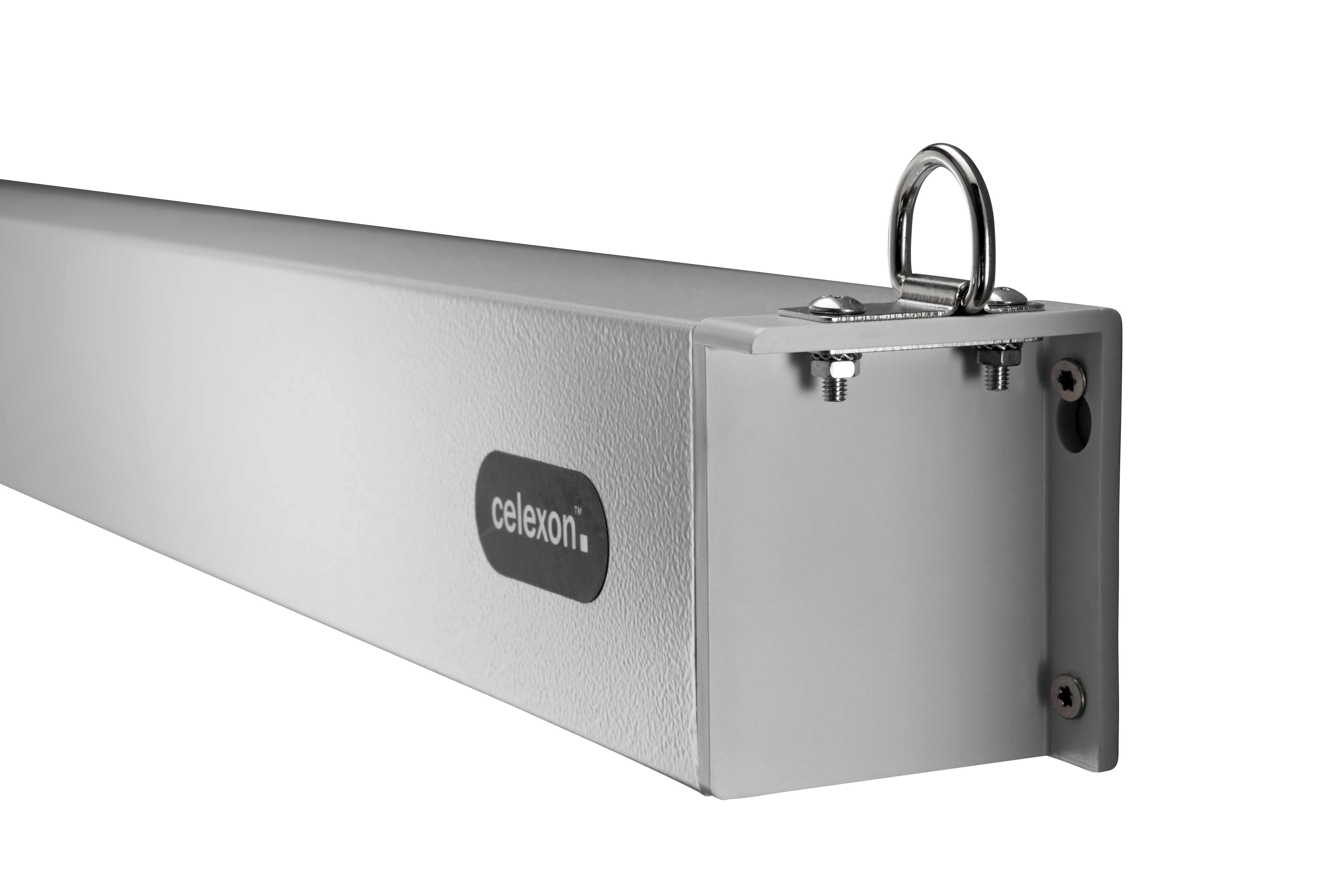 celexon Leinwand Motor Professional Plus 200 x 150 cm