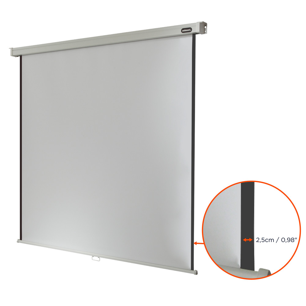 celexon Leinwand Rollo Professional 120 x 120 cm - 67"