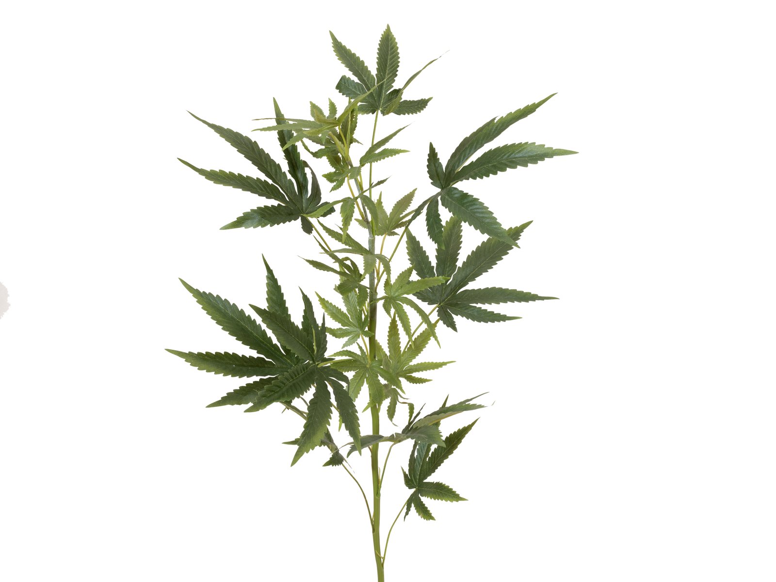 EUROPALMS Hanfzweig, künstlich, 90cm EUROPALMS Hanfzweig, künstlich, 90cm