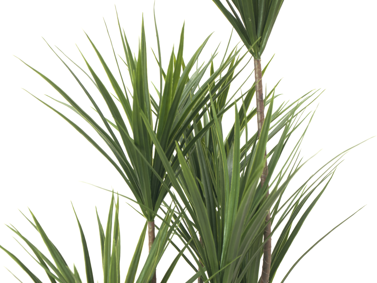 EUROPALMS Yucca Palme, Kunstpflanze, 130cm EUROPALMS Yucca Palme, Kunstpflanze, 130cm