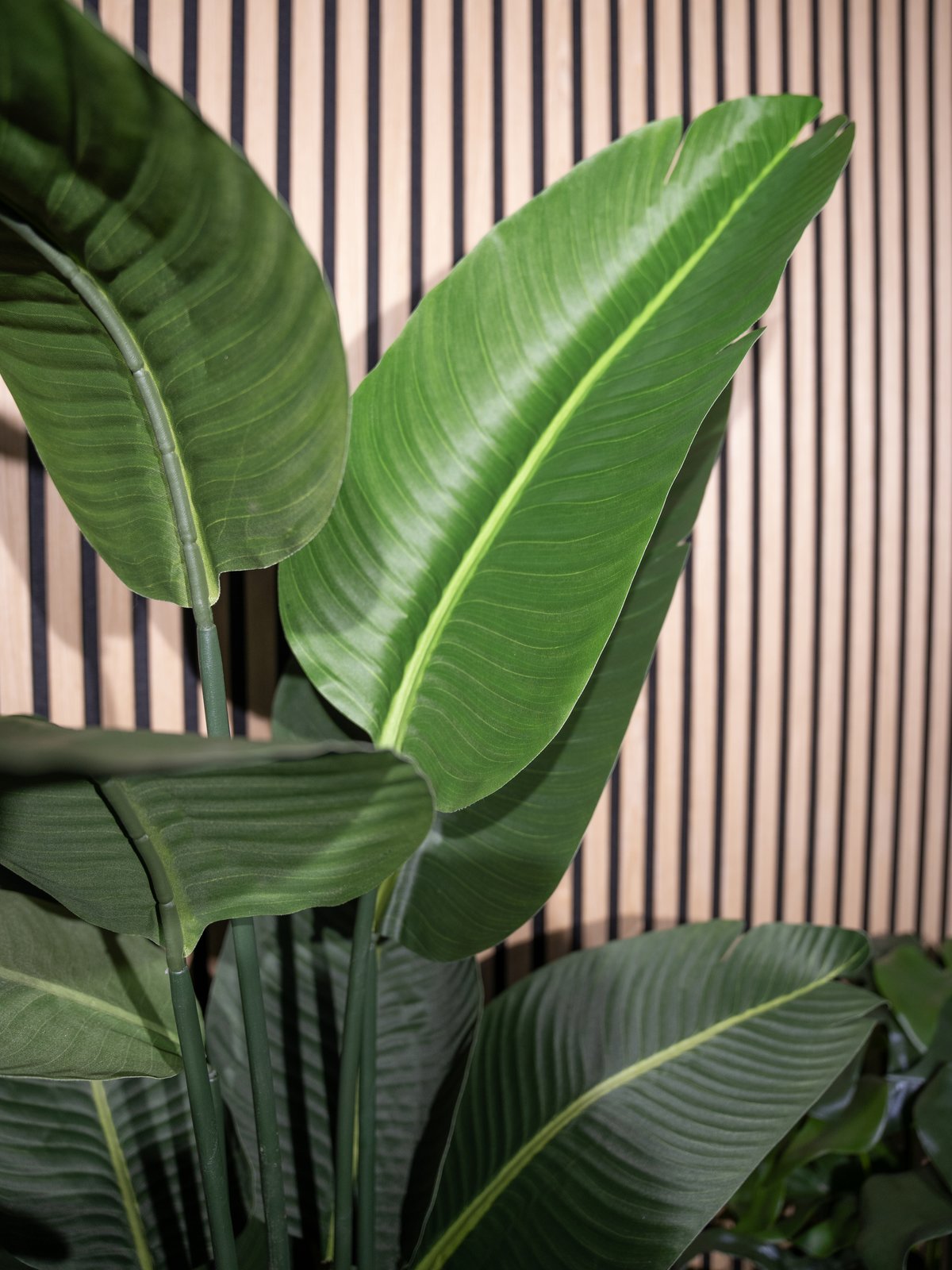 EUROPALMS Strelitzie, Kunstpflanze, 110cm EUROPALMS Strelitzie, Kunstpflanze, 110cm