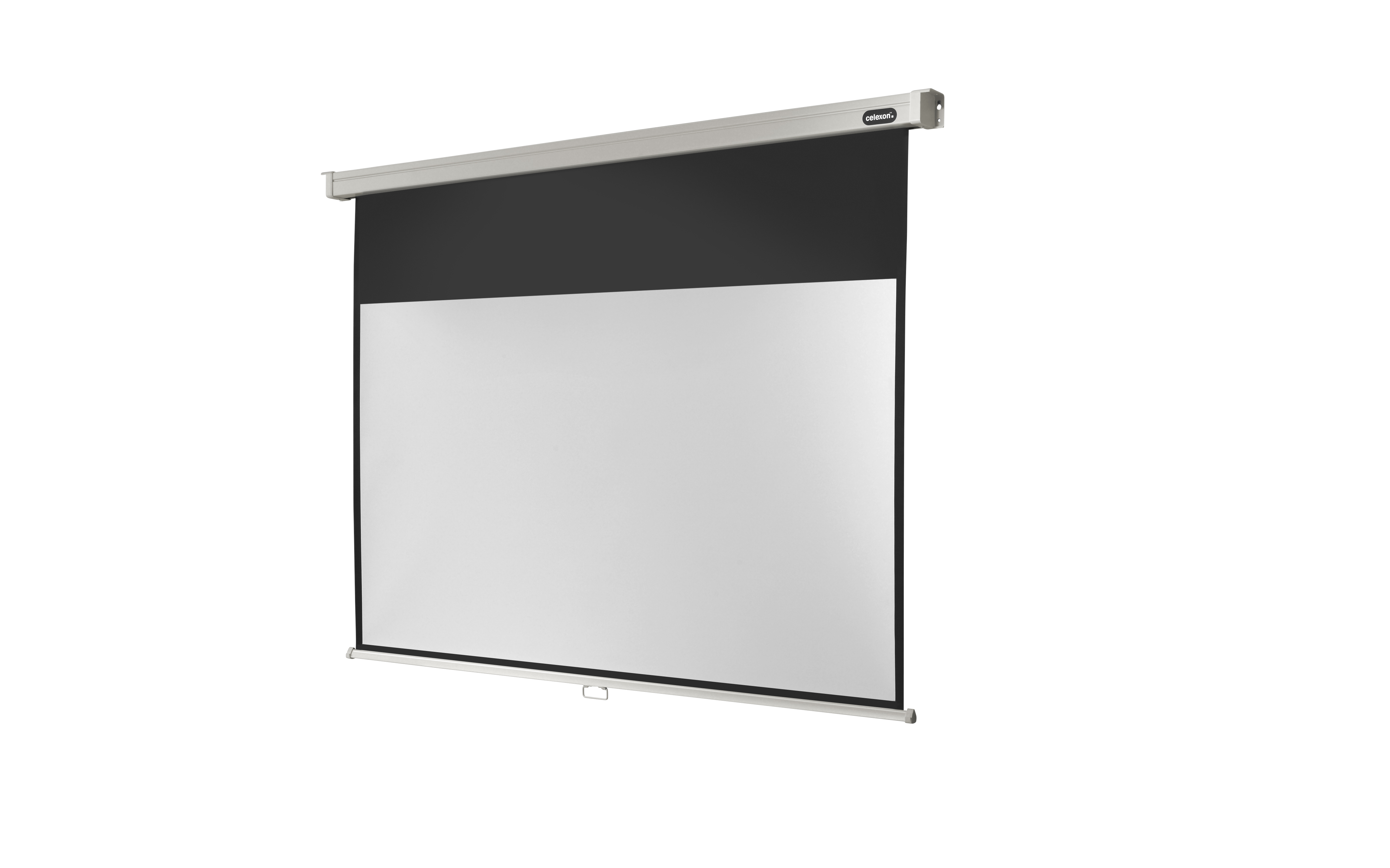 celexon Leinwand Rollo Professional 280 x 158 cm