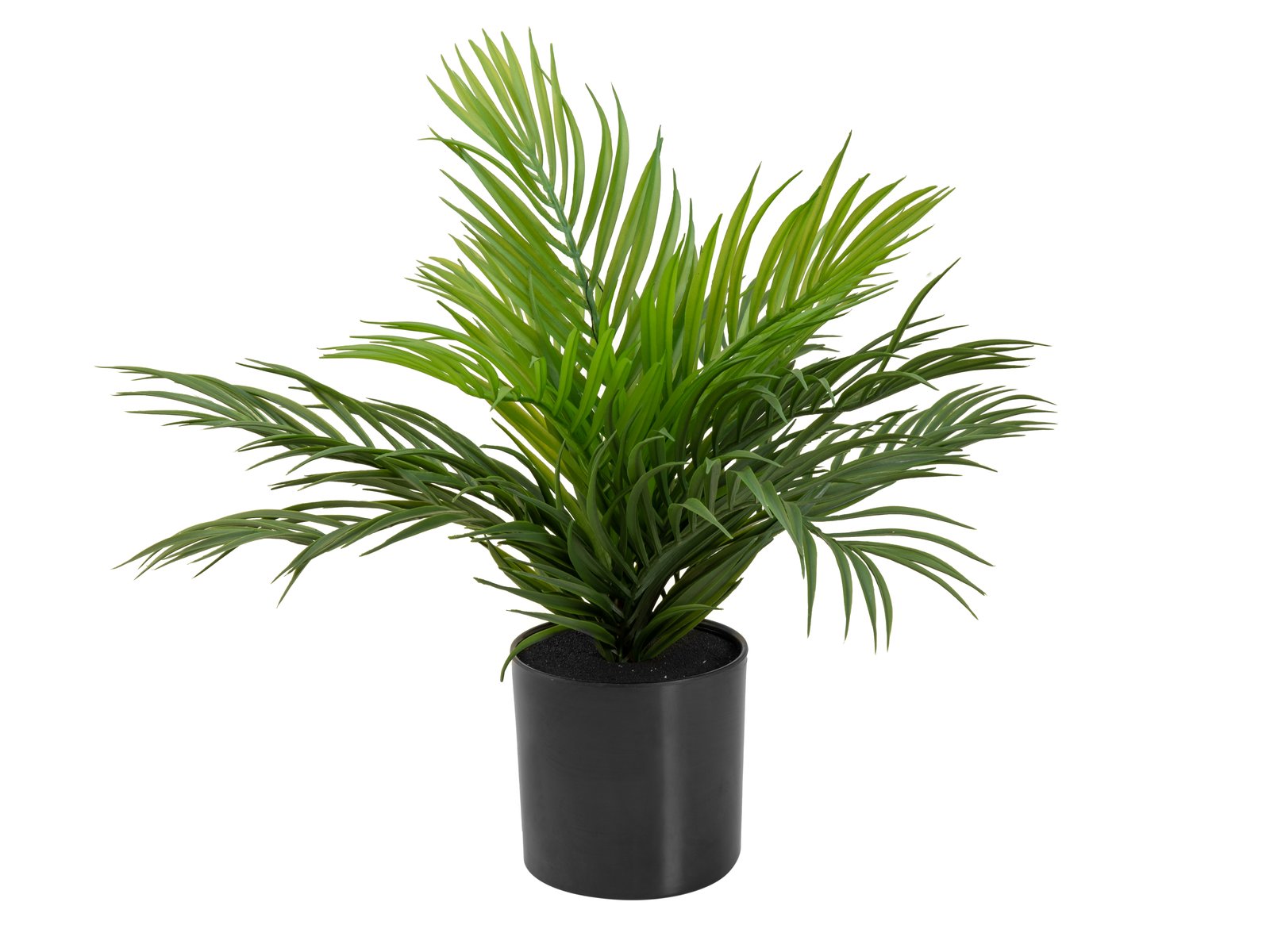 EUROPALMS Goldfruchtpalme, Kunstpflanze, 46 cm EUROPALMS Goldfruchtpalme, Kunstpflanze, 46 cm