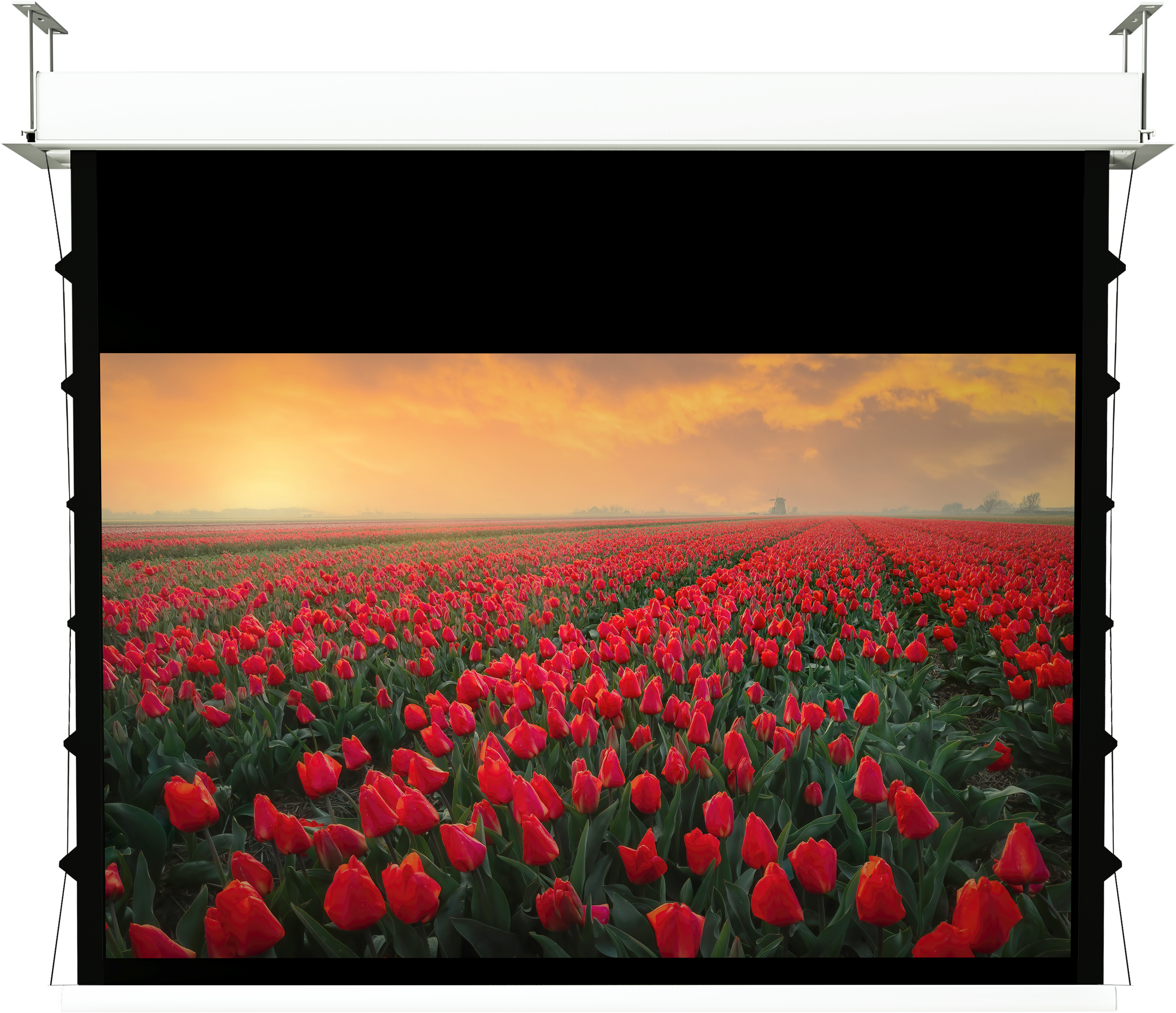 WS S DE GrandCinema 16:9 244x137 cm HomeVision BE/BL 1,0 Ga