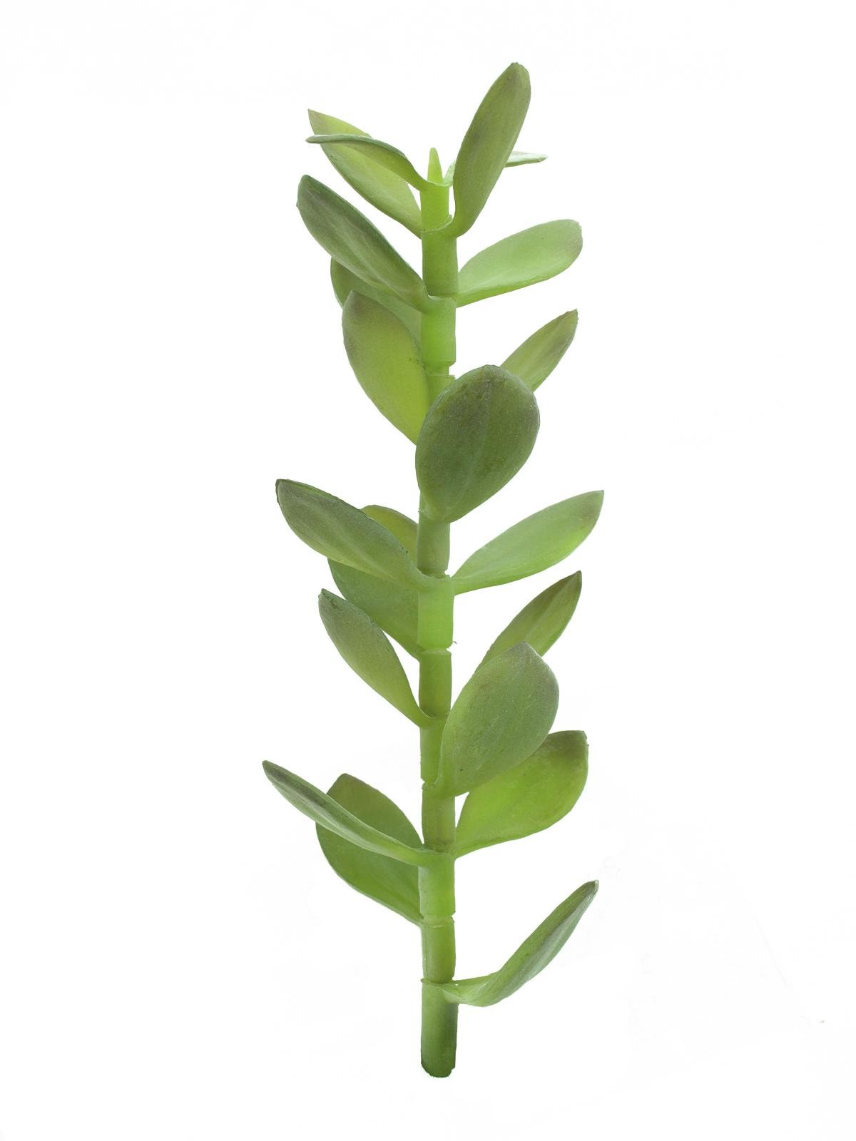 EUROPALMS Geldbäumchen-Spross, Kunstpflanze, 30cm