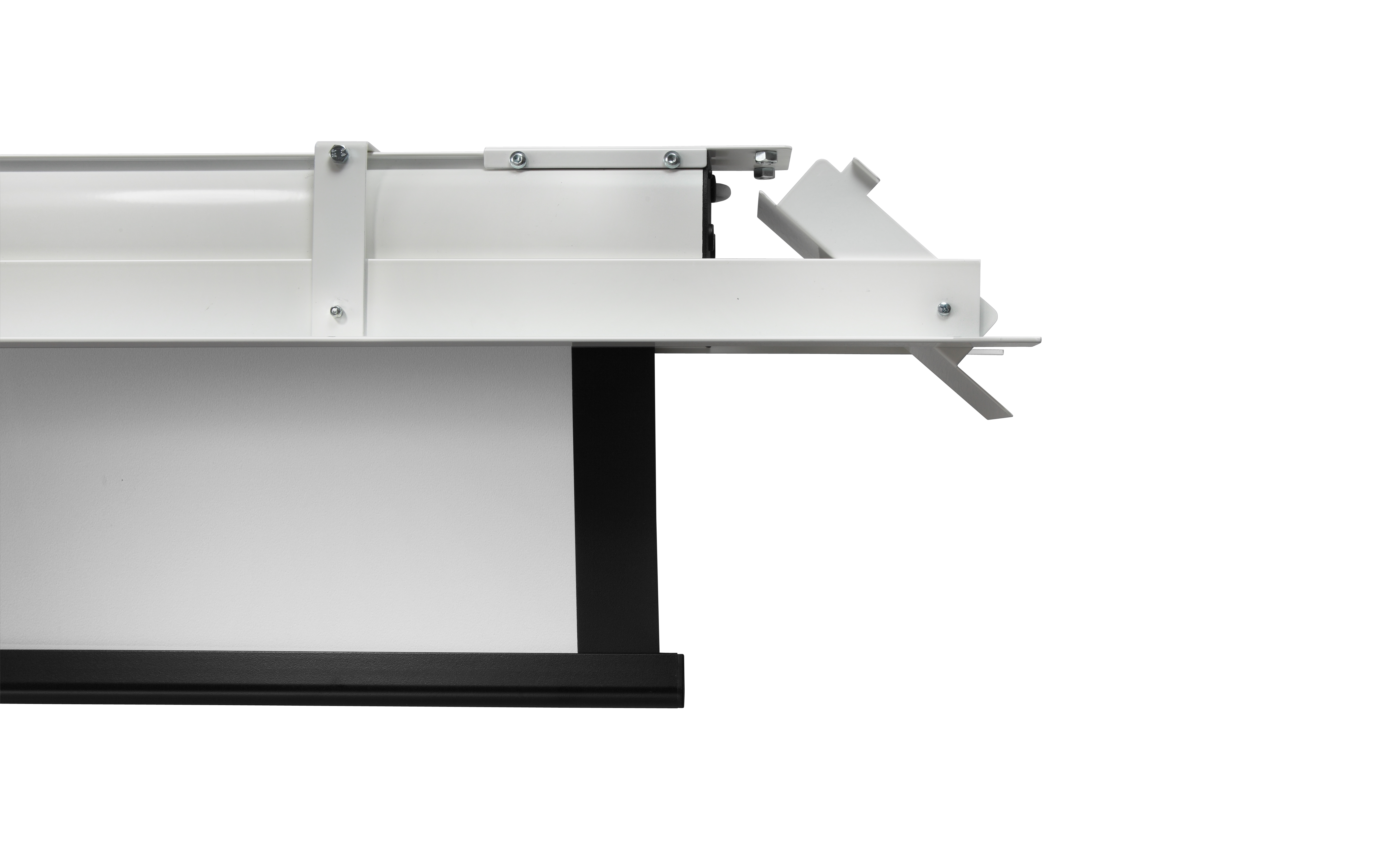 celexon Deckeneinbau Leinwand Motor Expert 250 x 140 cm