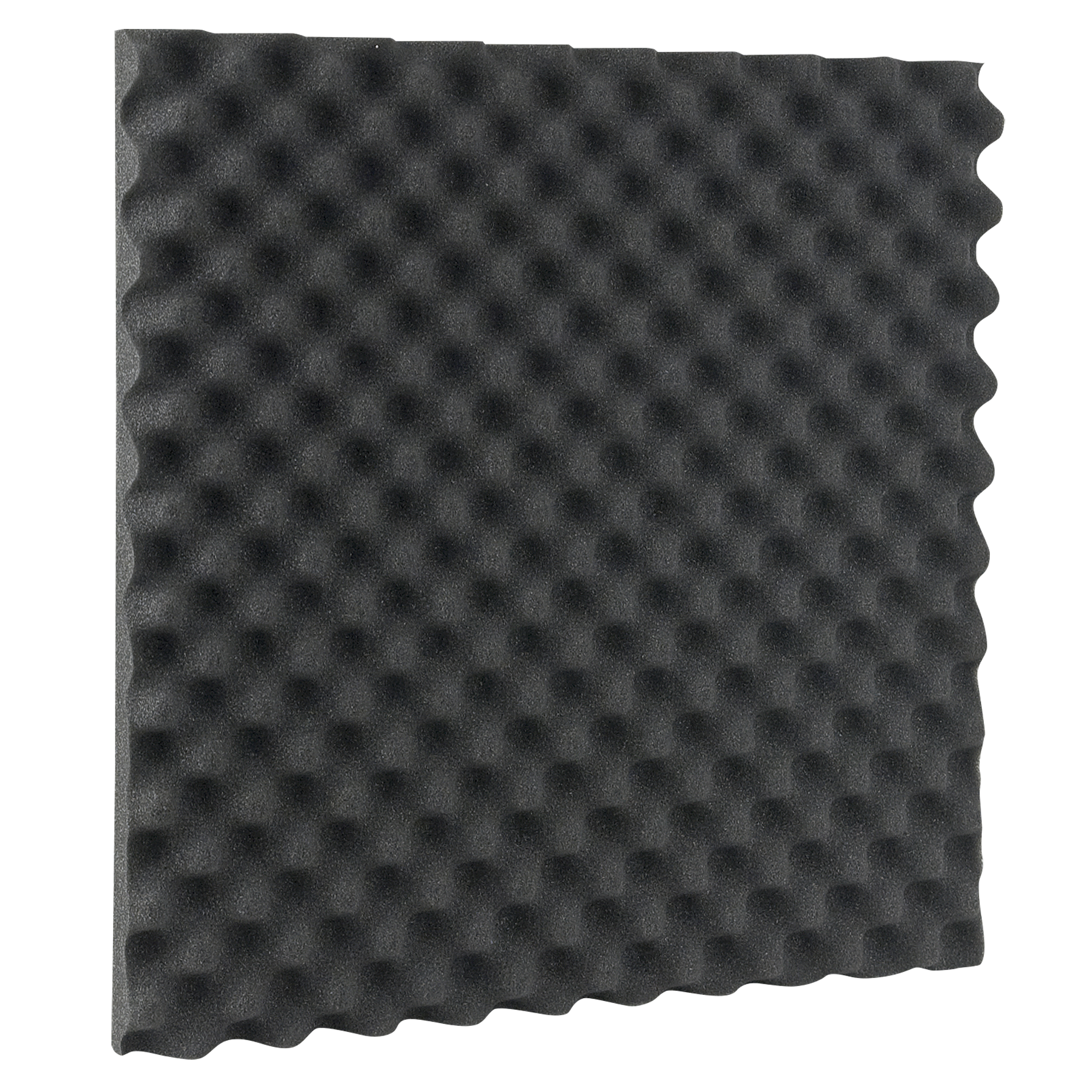 SHOWGEAR Egg Foam 30 mm 2 Platten, 1,5m x 2m