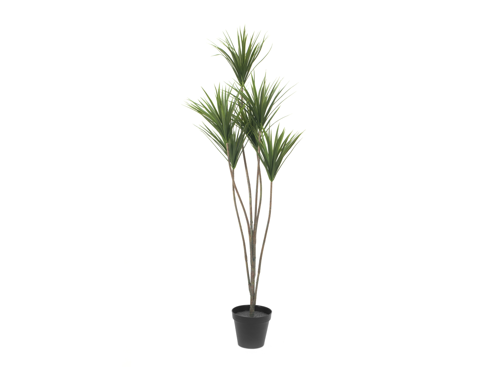 EUROPALMS Yucca Palme, Kunstpflanze, 130cm EUROPALMS Yucca Palme, Kunstpflanze, 130cm