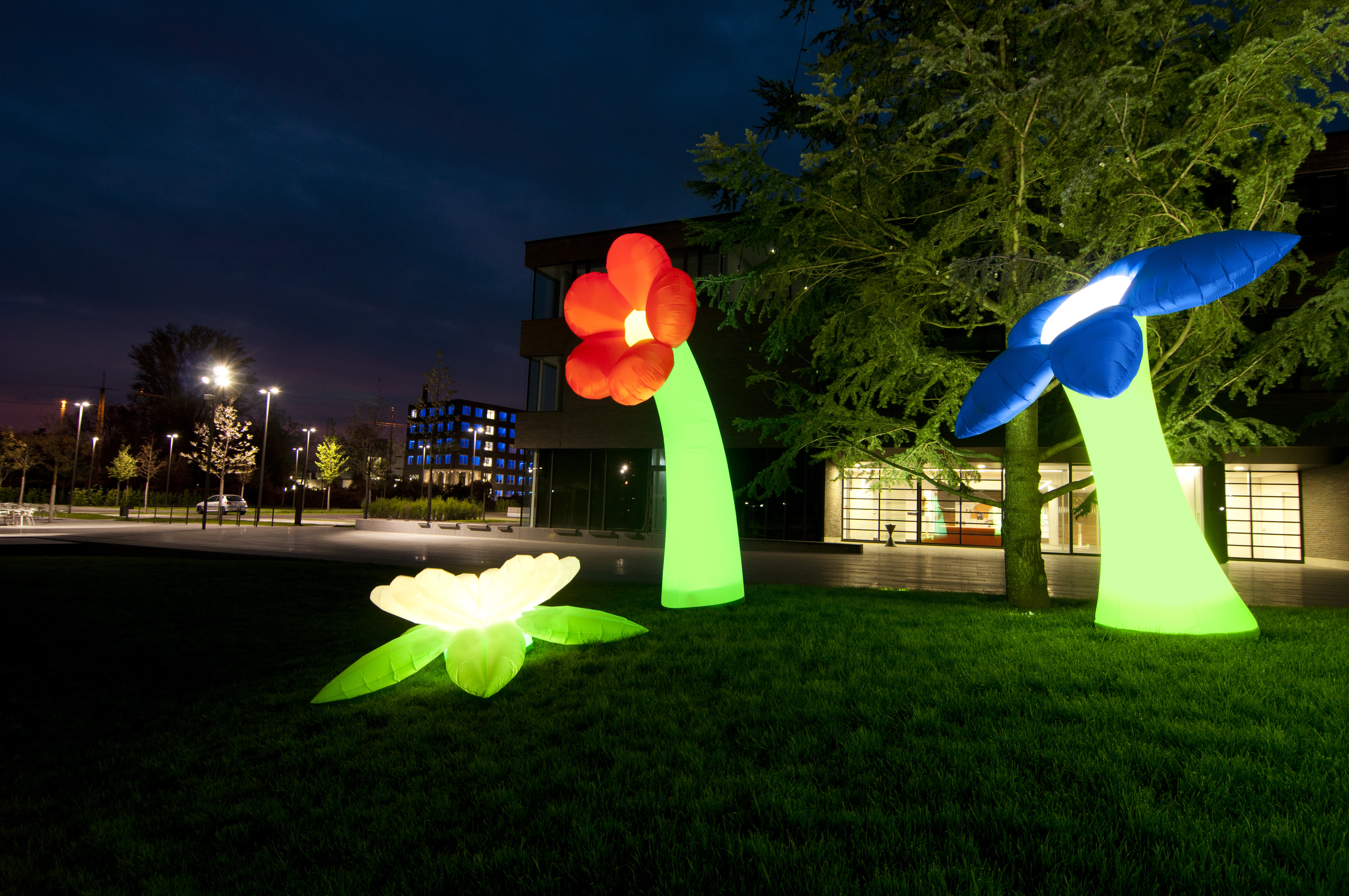 Hülle Flower B1