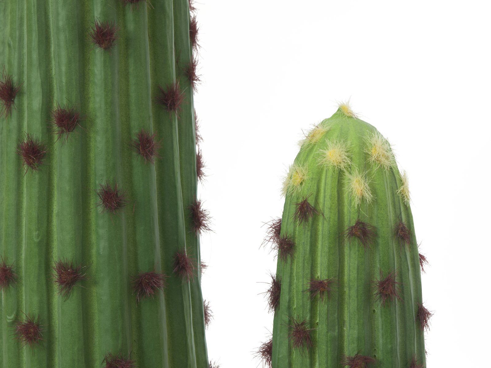 EUROPALMS Mexikanischer Kaktus, Kunstpflanze, grün, 117cm EUROPALMS Mexikanischer Kaktus, Kunstpflanze, grün, 117cm