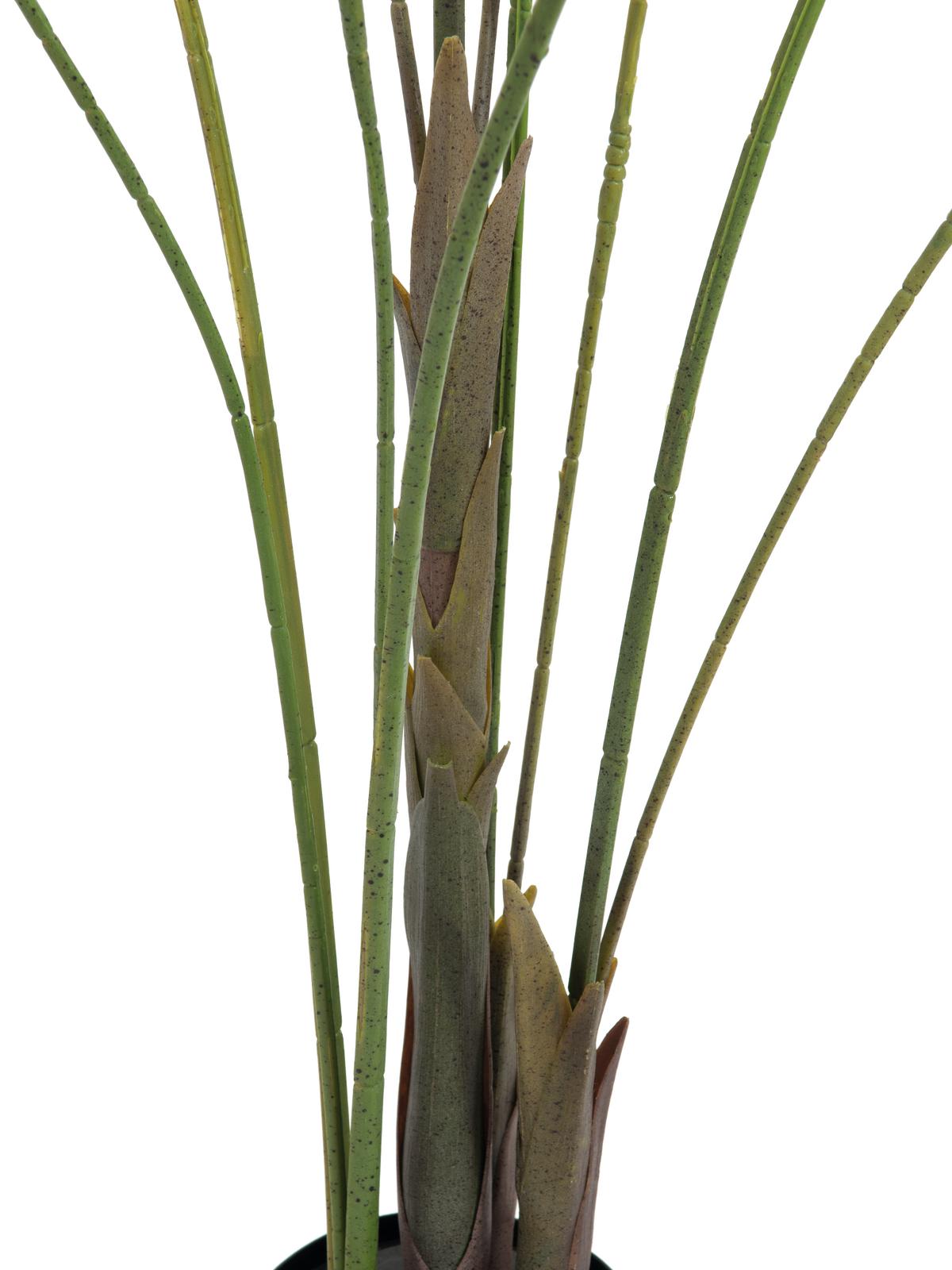 EUROPALMS Großblatt-Areca, Kunstpflanze, 185cm EUROPALMS Großblatt-Areca, Kunstpflanze, 185cm