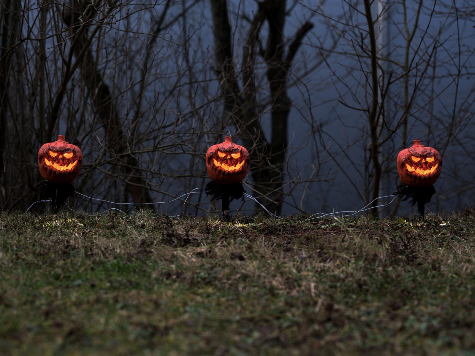 EUROPALMS Halloween Kürbisse mit Erdspieß, 3er-Set, 39cm EUROPALMS Halloween Kürbisse mit Erdspieß, 3er-Set, 39cm