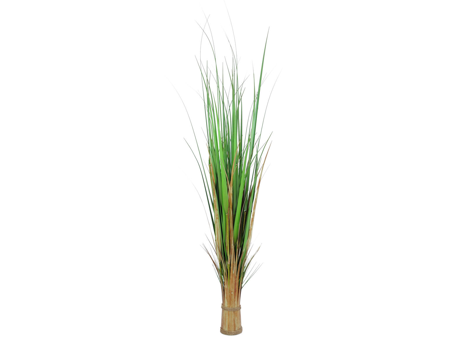 EUROPALMS Fuchsgras, künstlich, 150cm EUROPALMS Fuchsgras, künstlich, 150cm