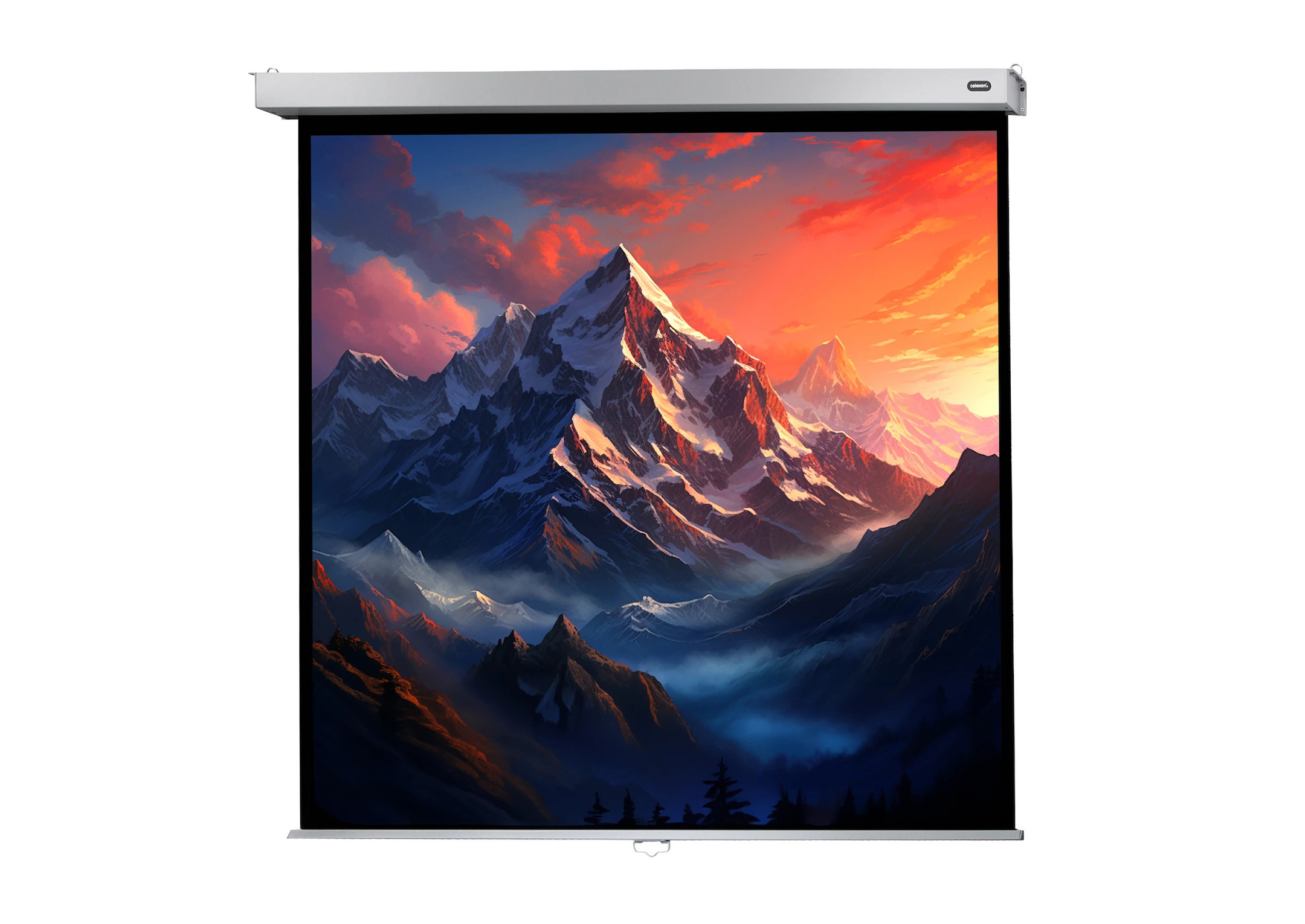 celexon Leinwand Rollo Professional Plus 160 x 160 cm - 89" celexon Leinwand Rollo Professional Plus 160 x 160 cm - 89"