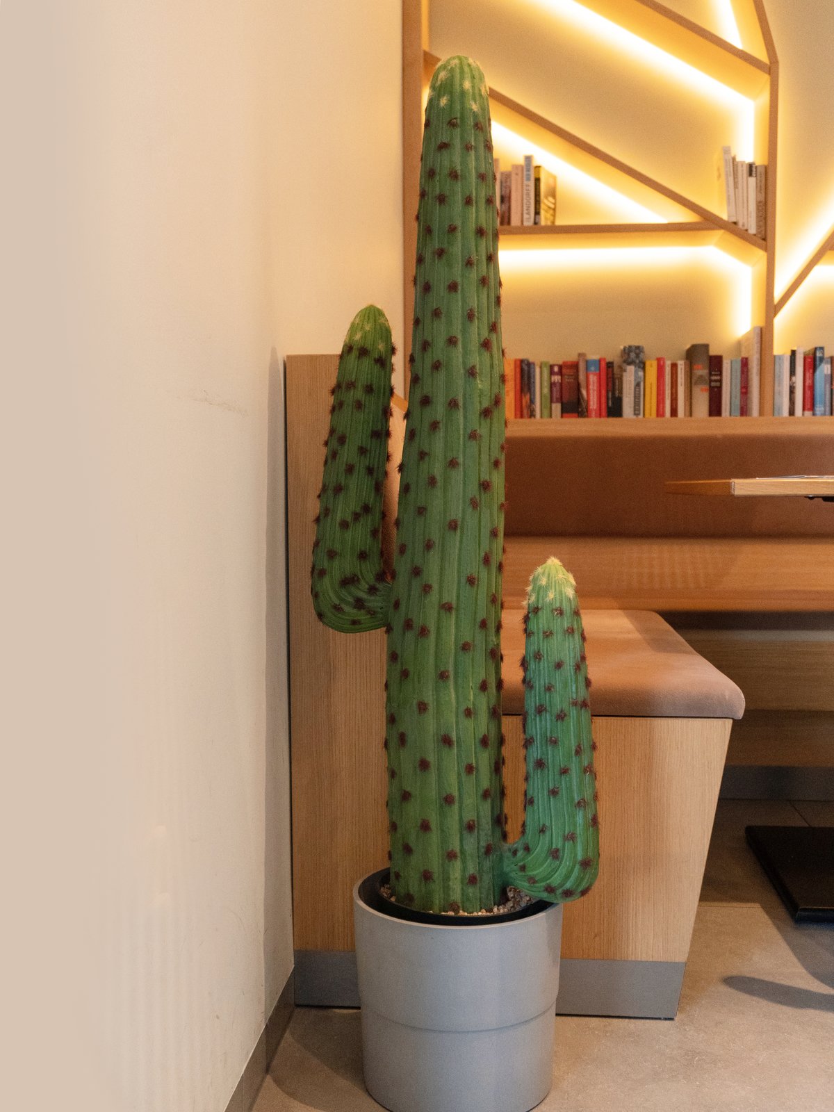 EUROPALMS Mexikanischer Kaktus, Kunstpflanze, grün, 117cm EUROPALMS Mexikanischer Kaktus, Kunstpflanze, grün, 117cm