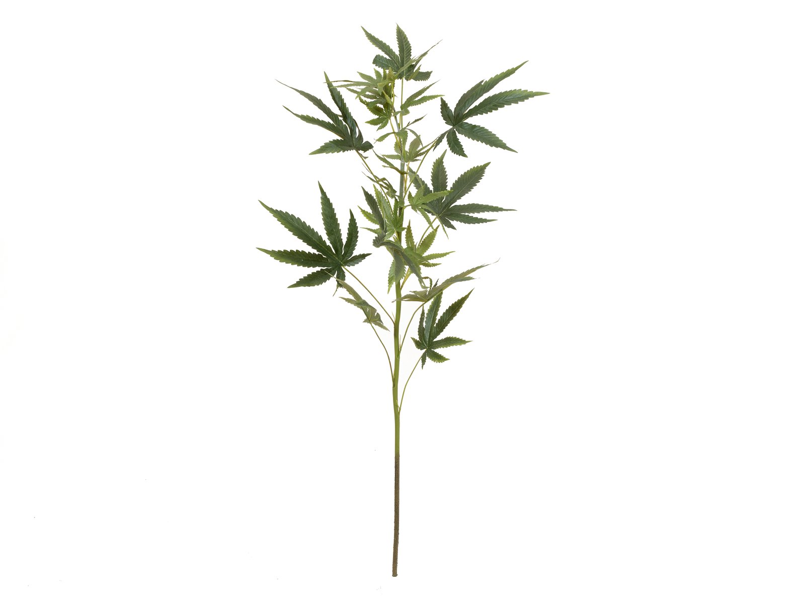EUROPALMS Hanfzweig, künstlich, 90cm EUROPALMS Hanfzweig, künstlich, 90cm