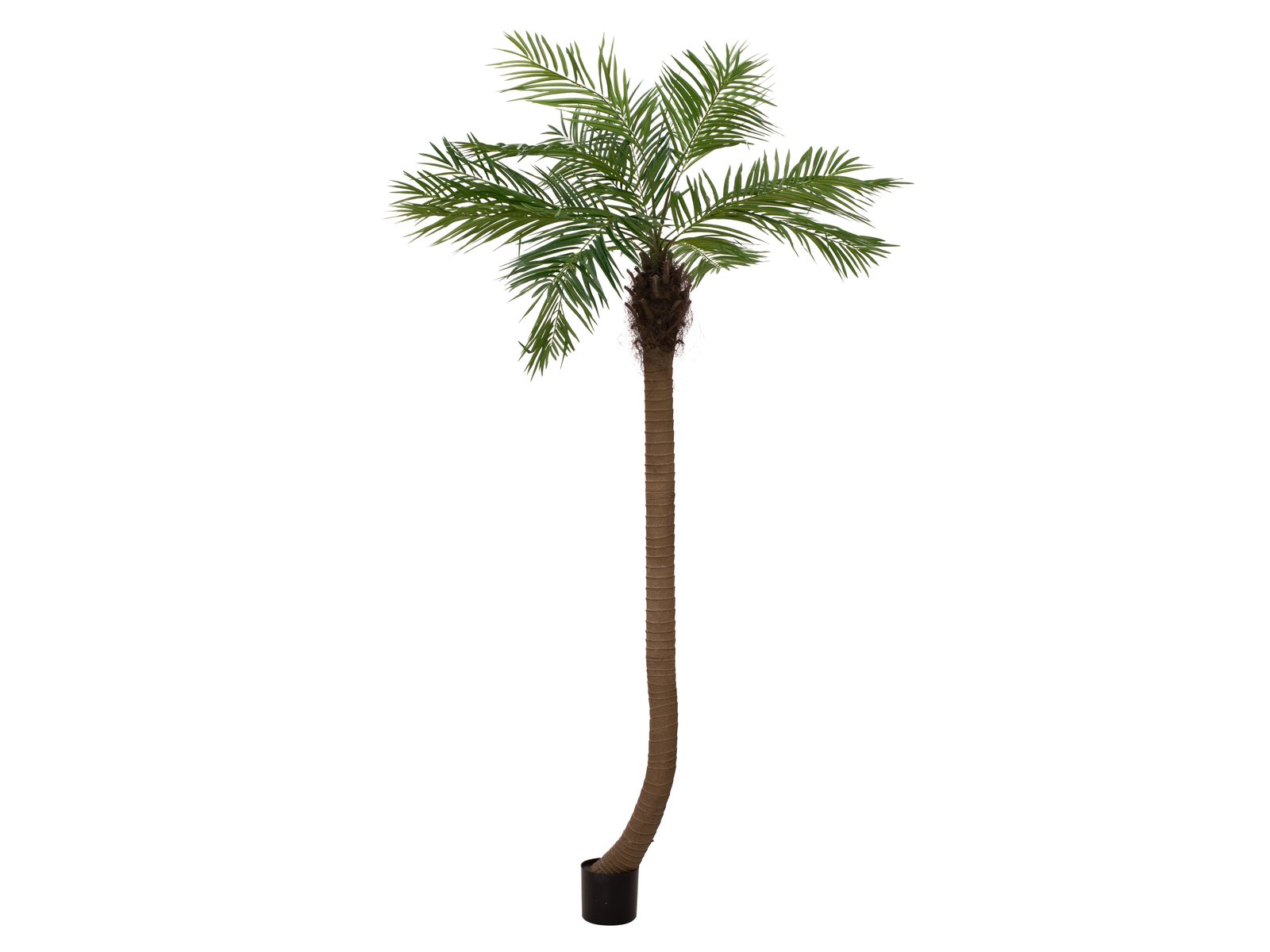 EUROPALMS Phönixpalme luxor gebogen, Kunstpflanze, 240cm EUROPALMS Phönixpalme luxor gebogen, Kunstpflanze, 240cm