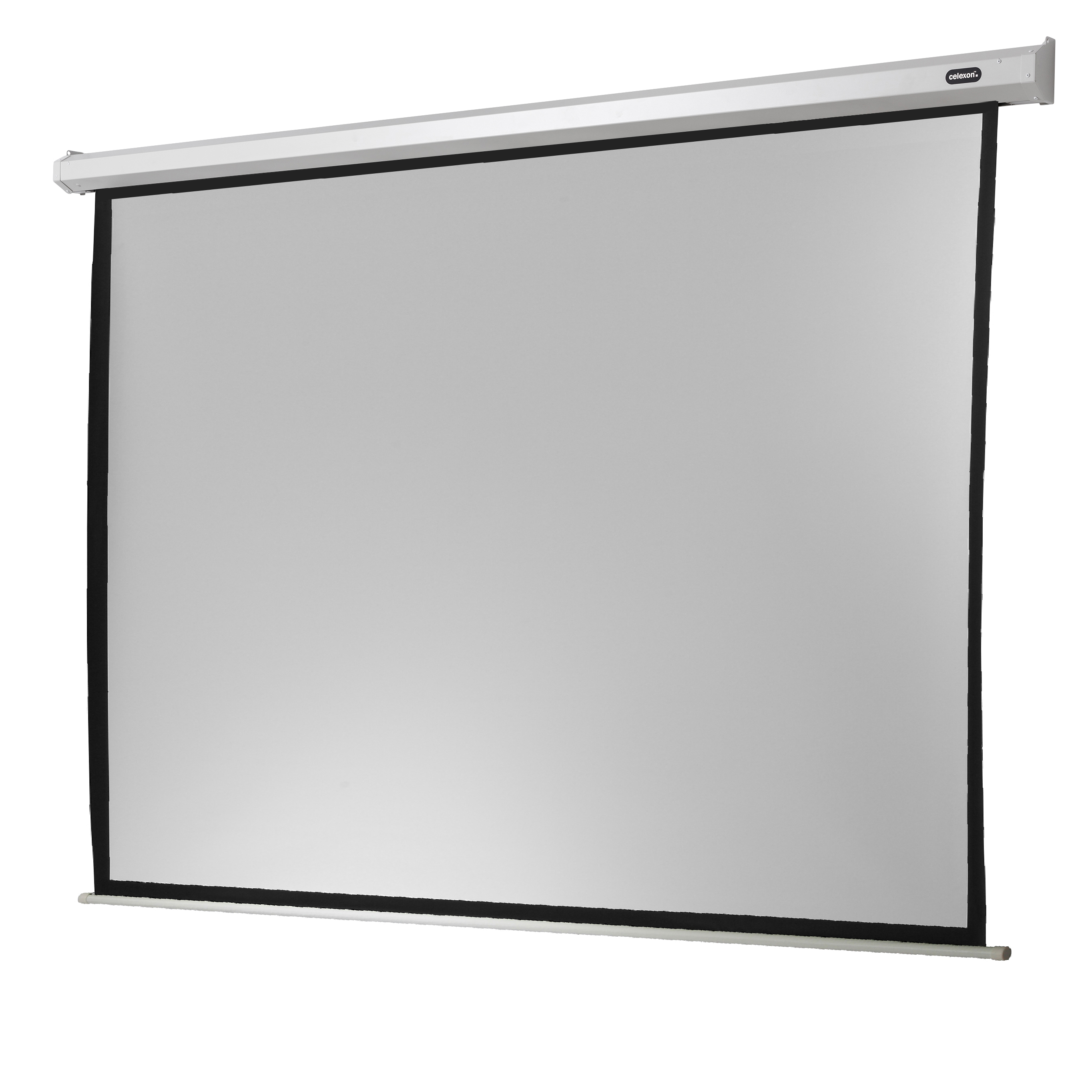 celexon Leinwand Motor Economy 240 x 240 cm