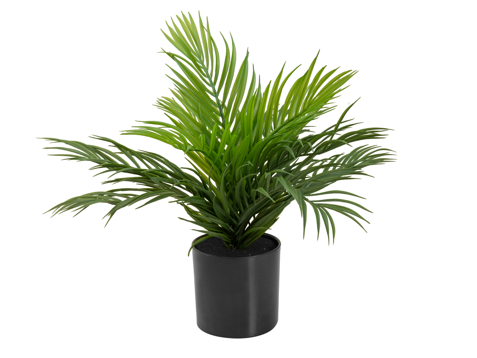 EUROPALMS Goldfruchtpalme, Kunstpflanze, 46 cm EUROPALMS Goldfruchtpalme, Kunstpflanze, 46 cm