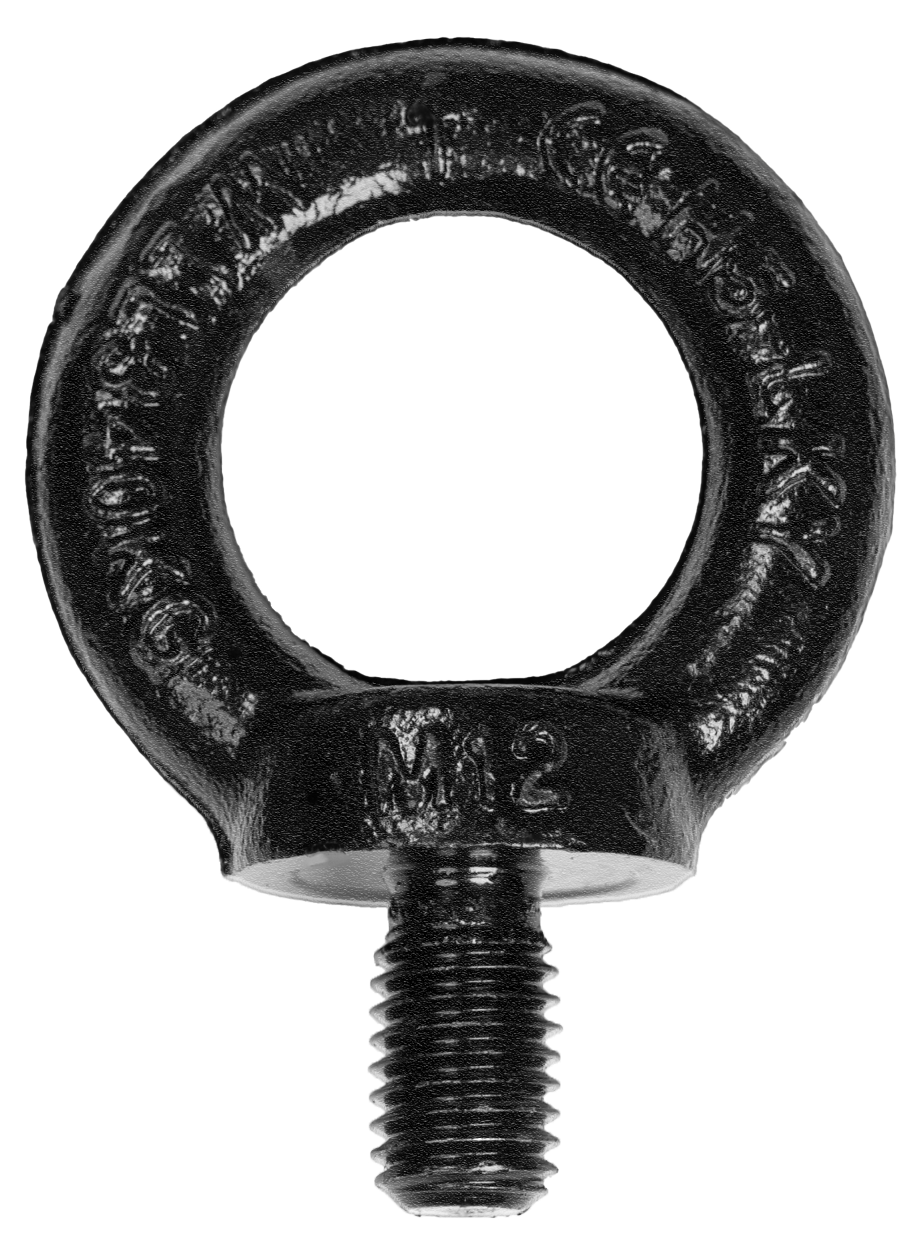 Ringschraube DIN 580 Blackline M10