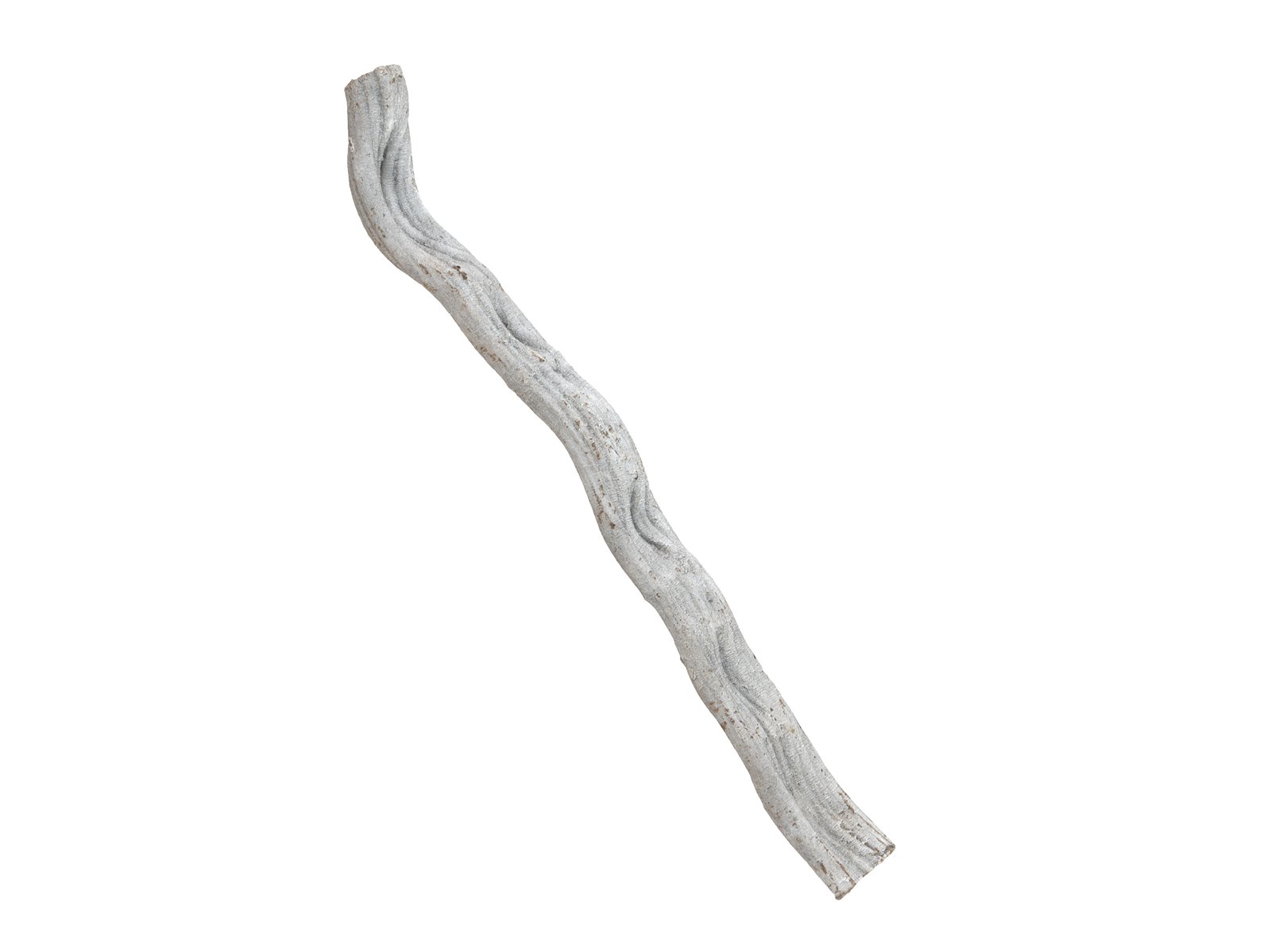 EUROPALMS Cipo Rosca Liane, getrocknet 70x8cm EUROPALMS Cipo Rosca Liane, getrocknet 70x8cm