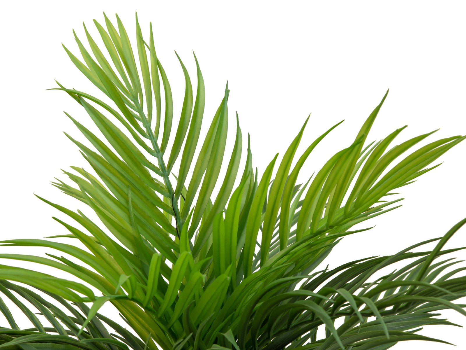 EUROPALMS Goldfruchtpalme, Kunstpflanze, 46 cm EUROPALMS Goldfruchtpalme, Kunstpflanze, 46 cm