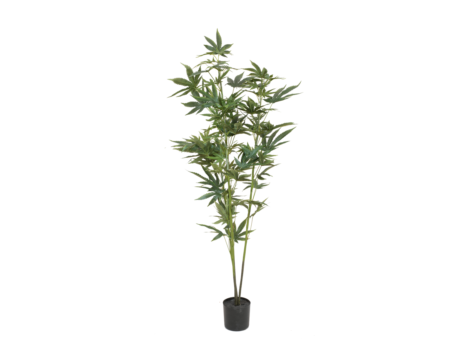 EUROPALMS Hanfpflanze, Kunstpflanze, 120cm