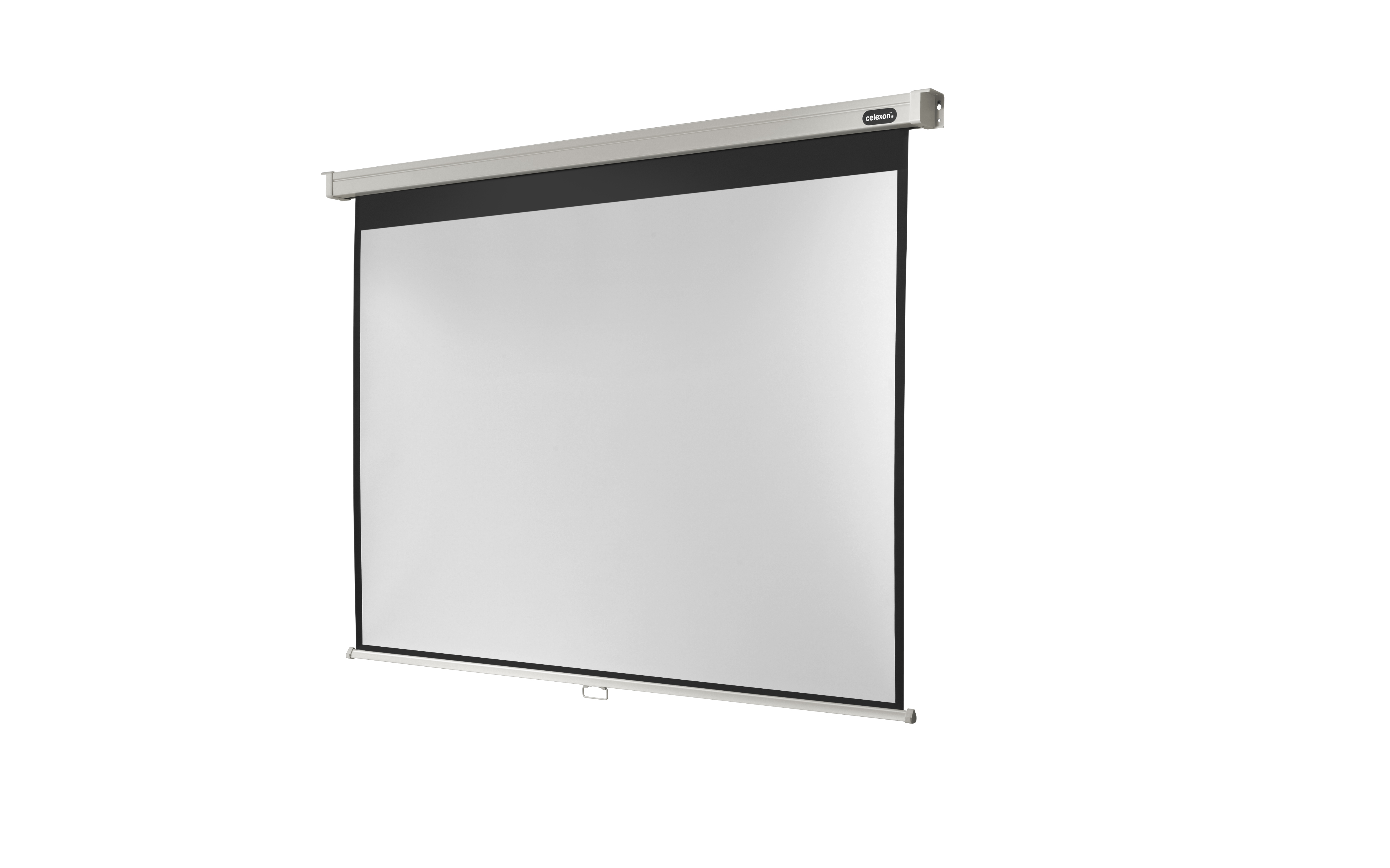 celexon Leinwand Rollo Professional 300 x 225 cm