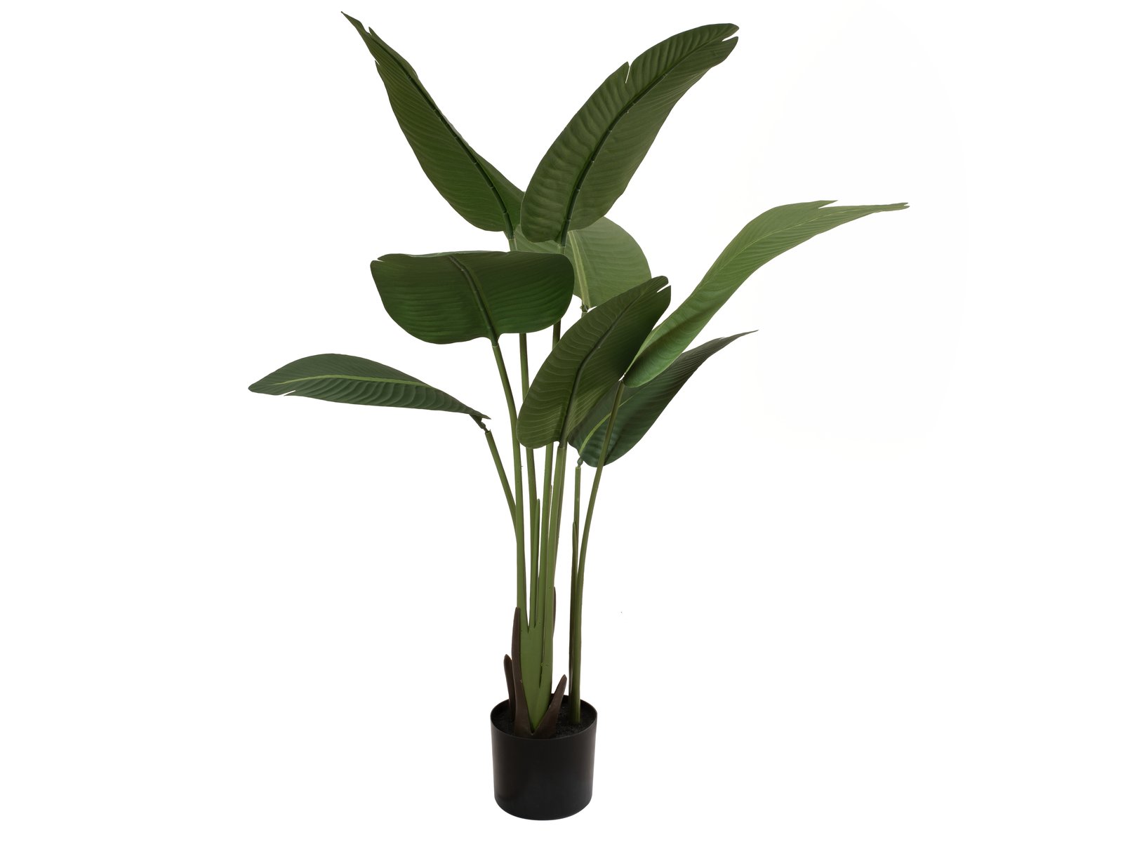 EUROPALMS Strelitzie, Kunstpflanze, 110cm EUROPALMS Strelitzie, Kunstpflanze, 110cm