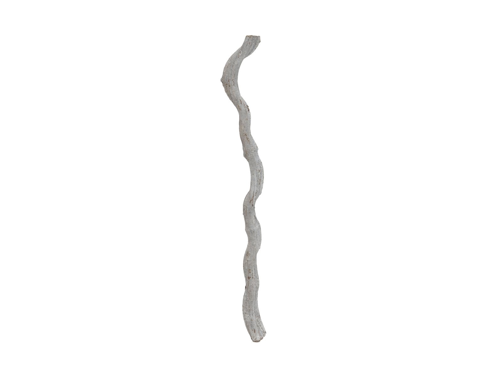 EUROPALMS Cipo Rosca Liane, getrocknet 70x8cm EUROPALMS Cipo Rosca Liane, getrocknet 70x8cm